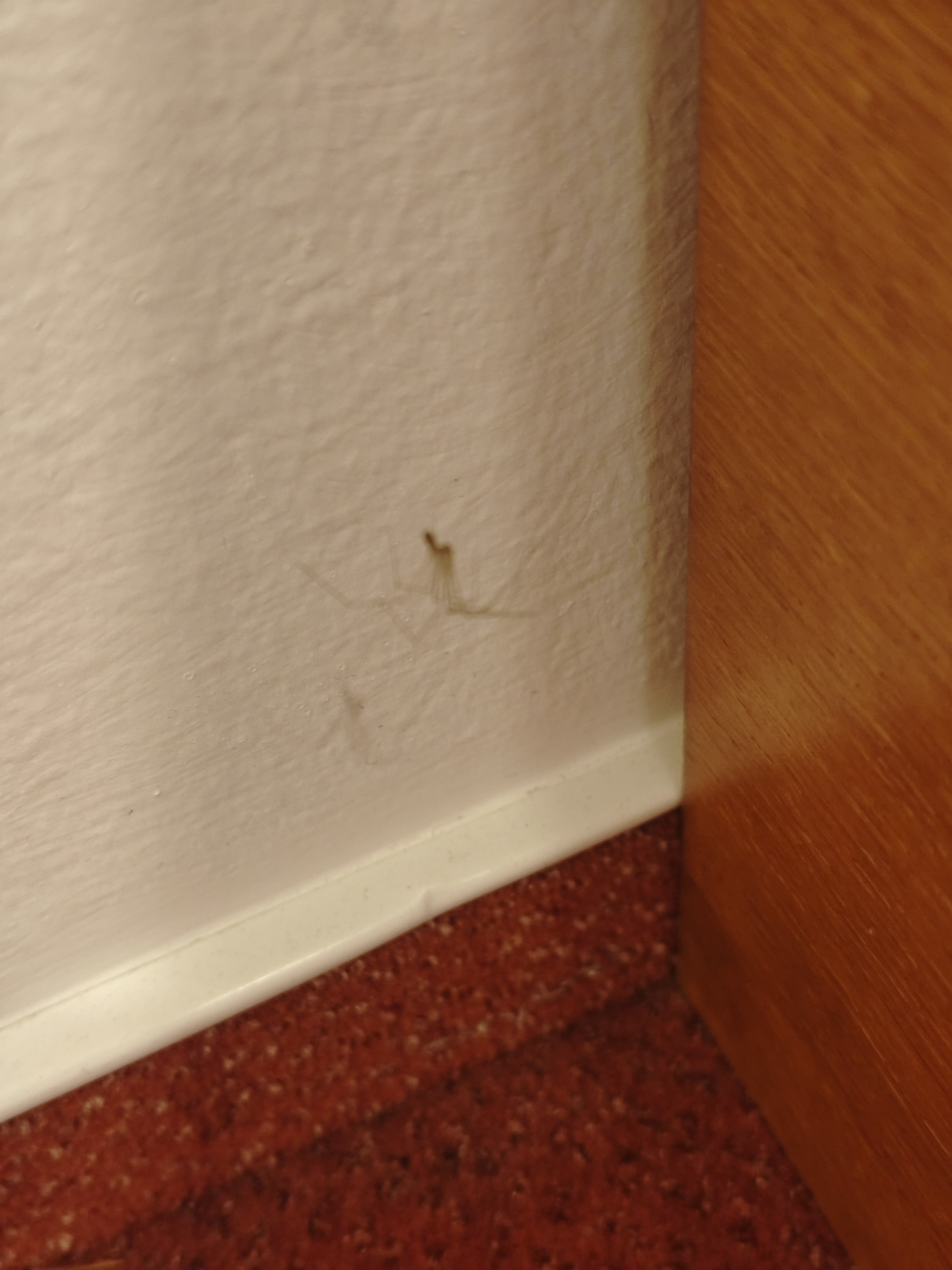 Residence Knížecí Dvůr foto 5