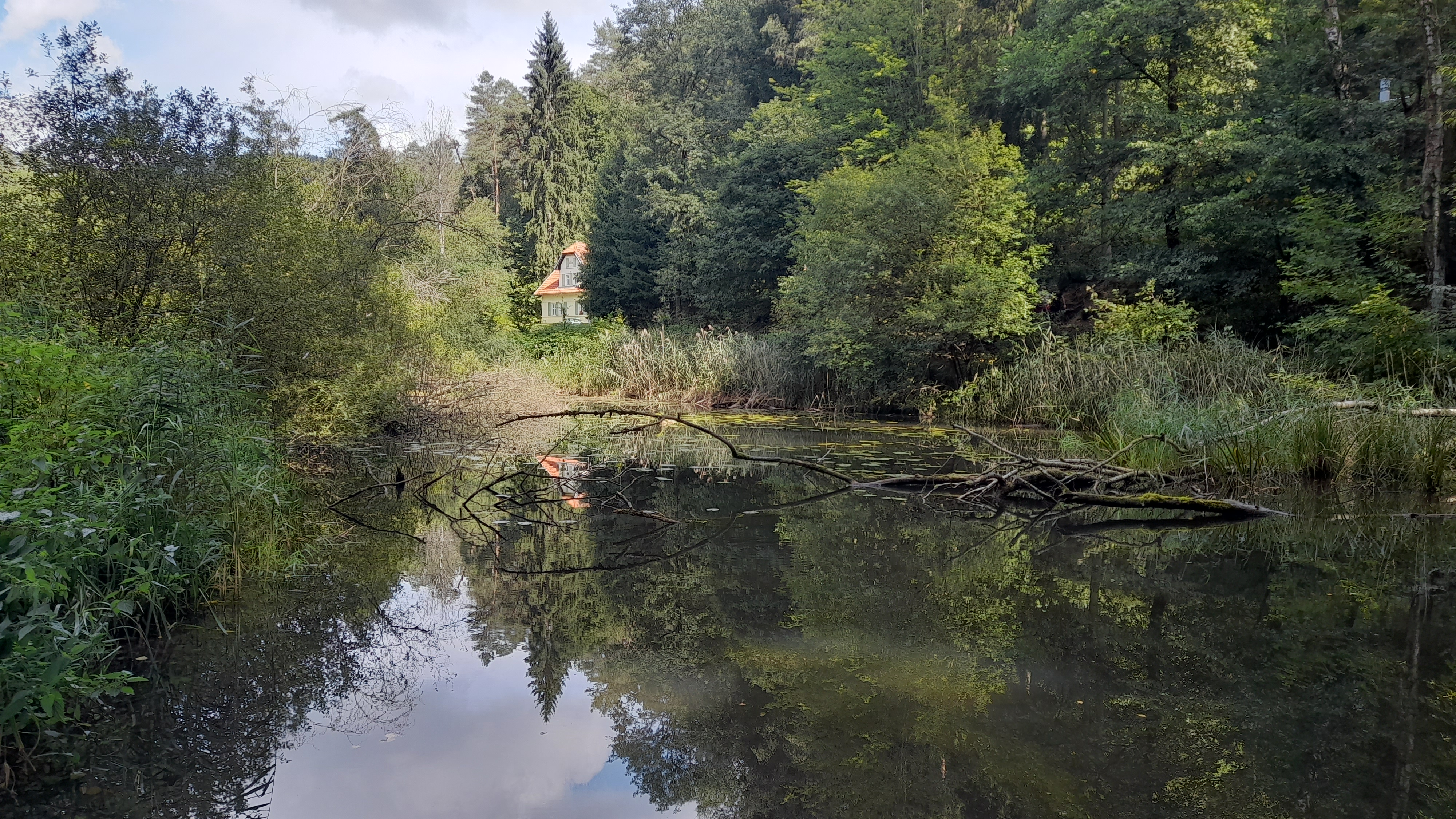 Tábořiště U Splávku foto 6