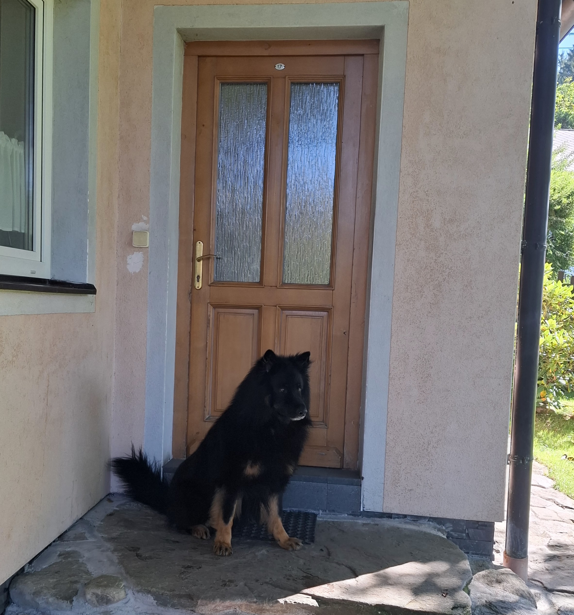 Penzion Montana foto 4