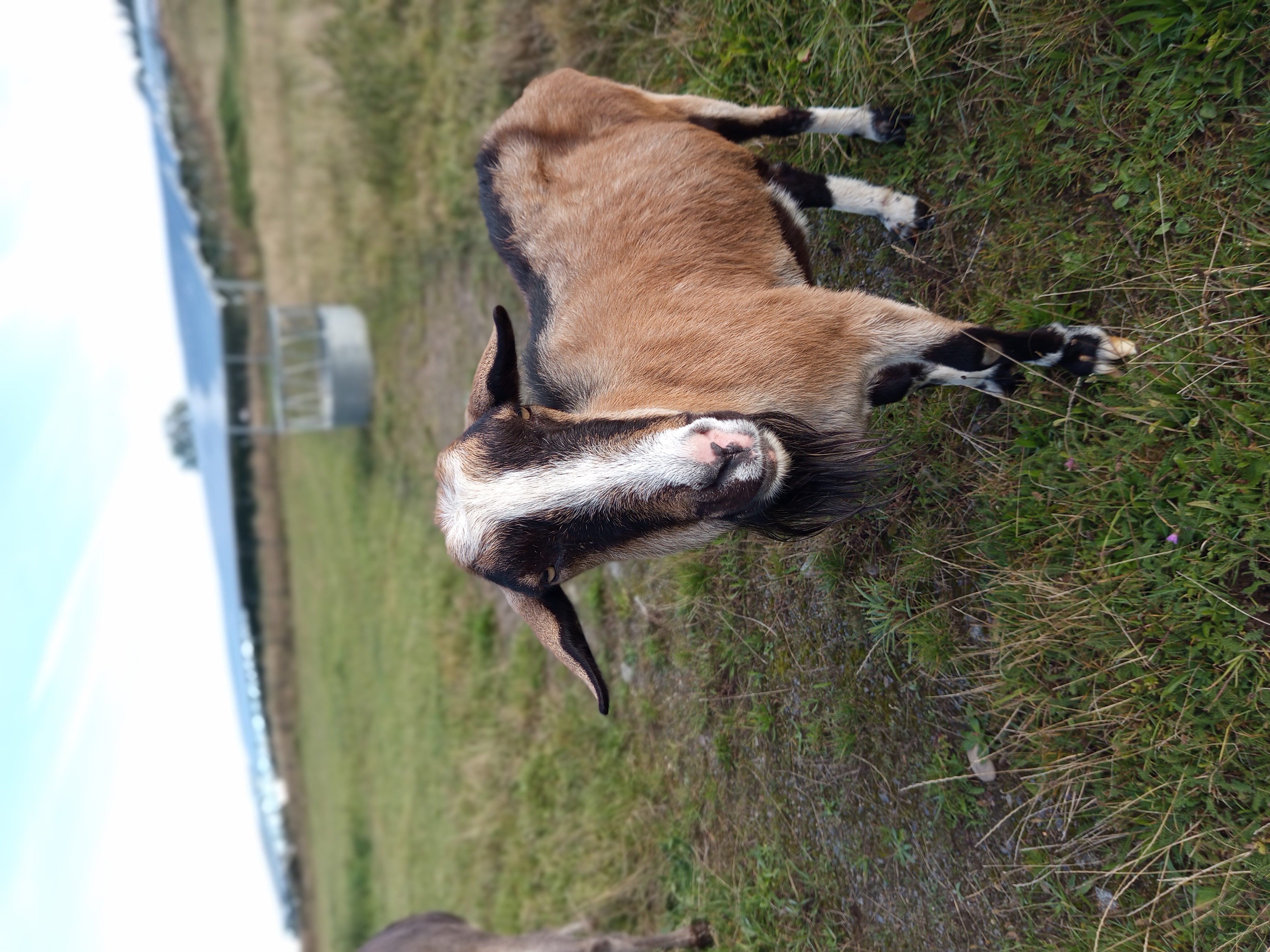 Penzion Brusinka foto 6