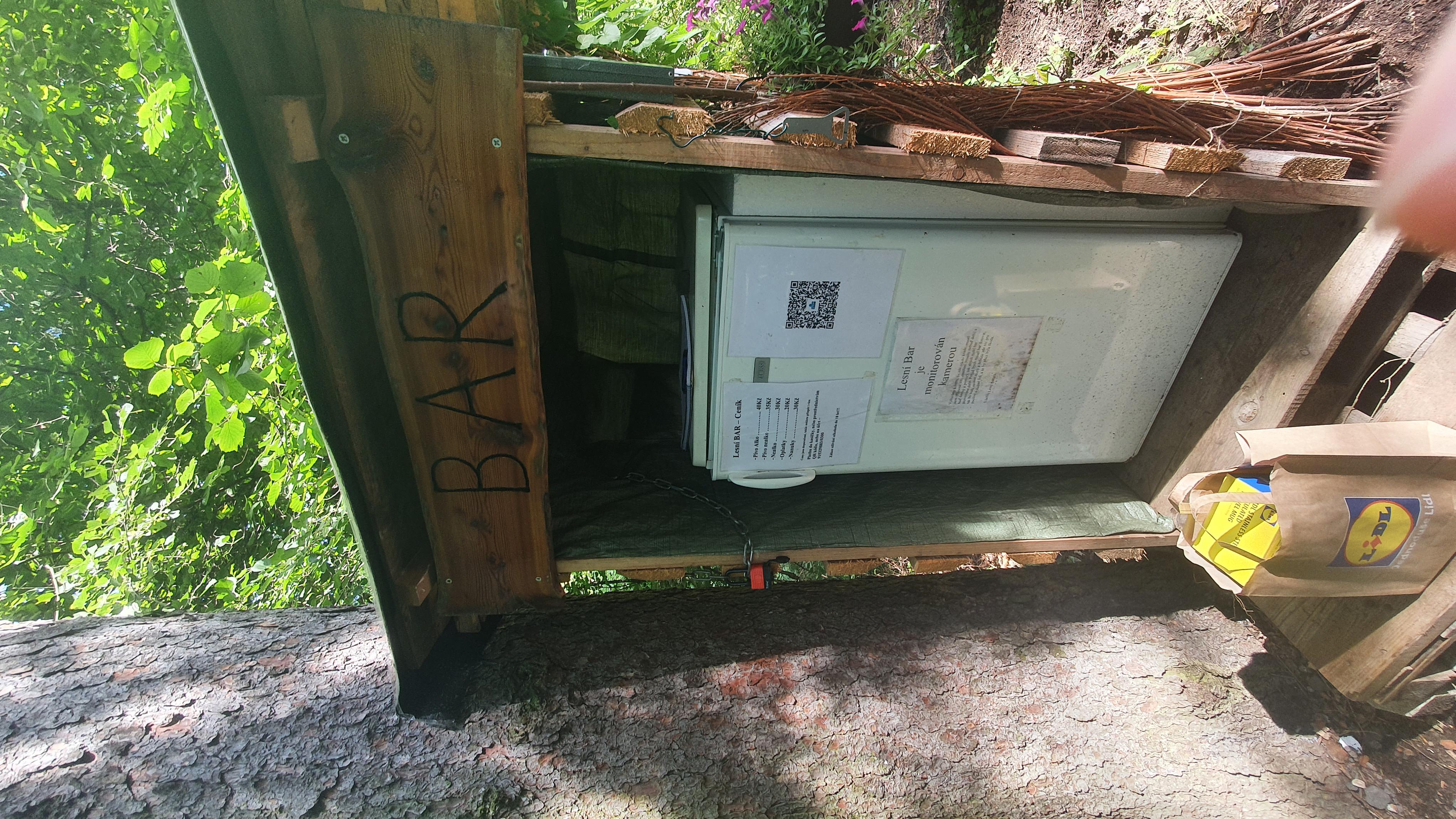 Lesní bar Bechlejovice foto 4