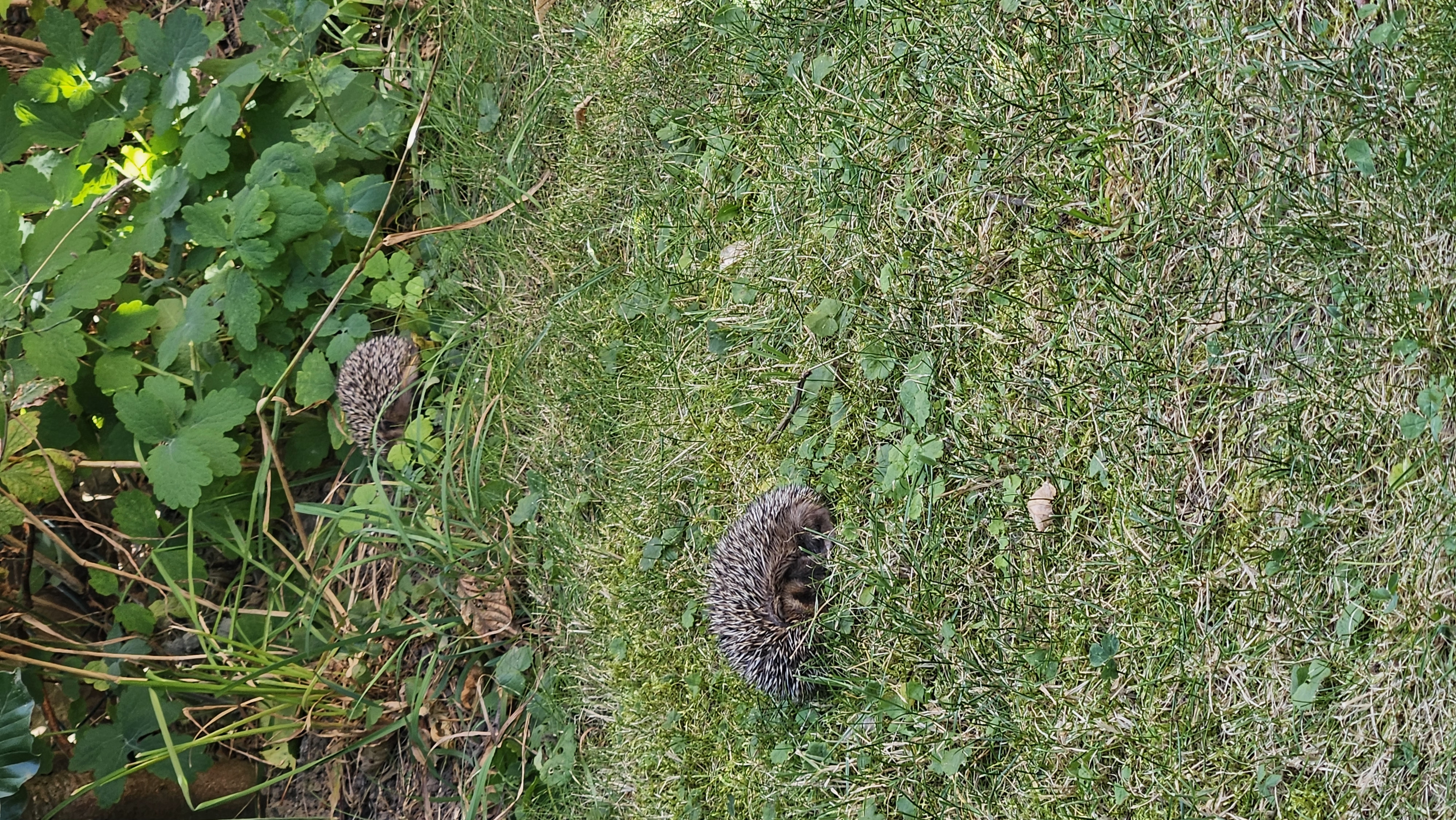 Penzion U Štoly foto 3