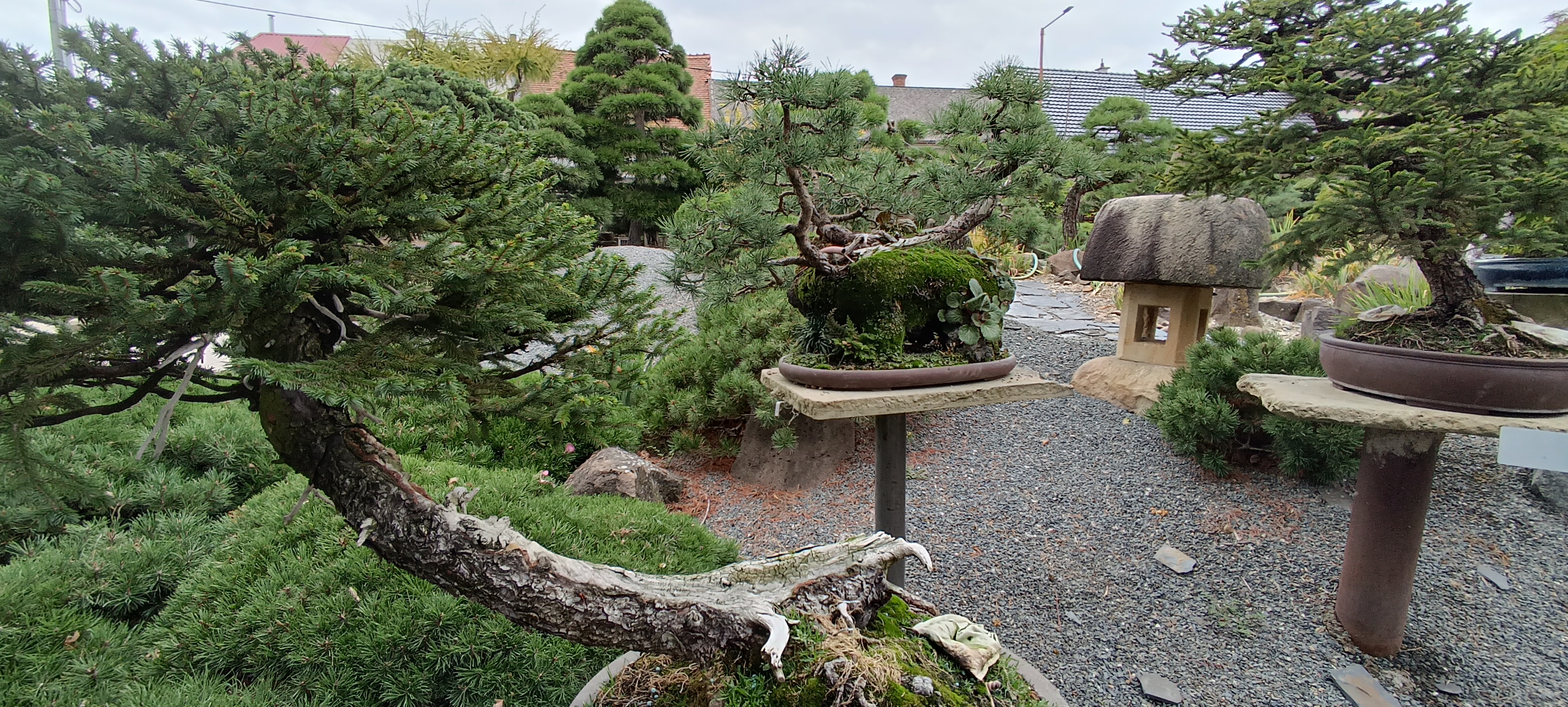 Isabelia - Josef Valuch foto 3