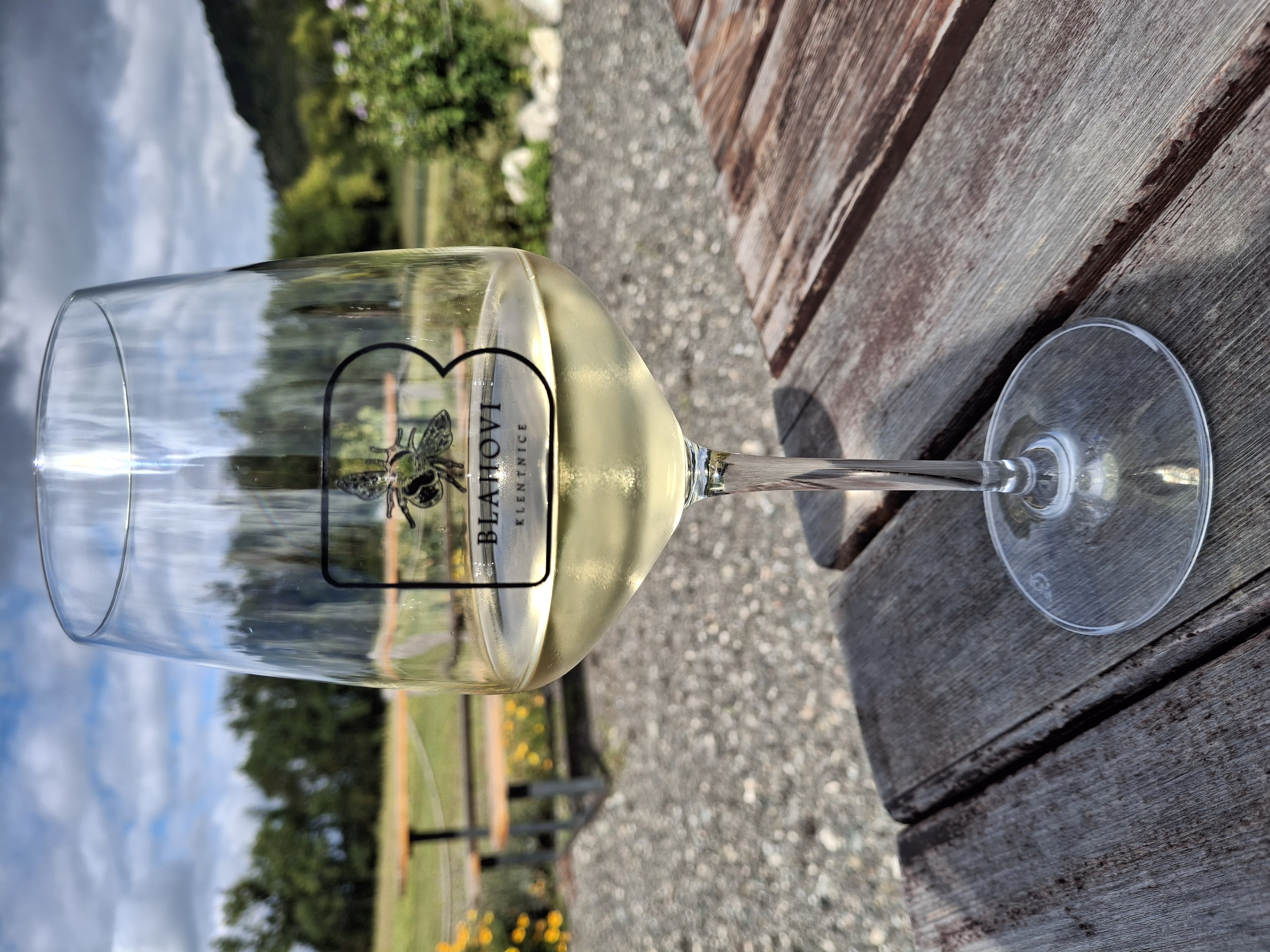 Vinný stánek Kletnice - Vinařství Blahovi foto 4