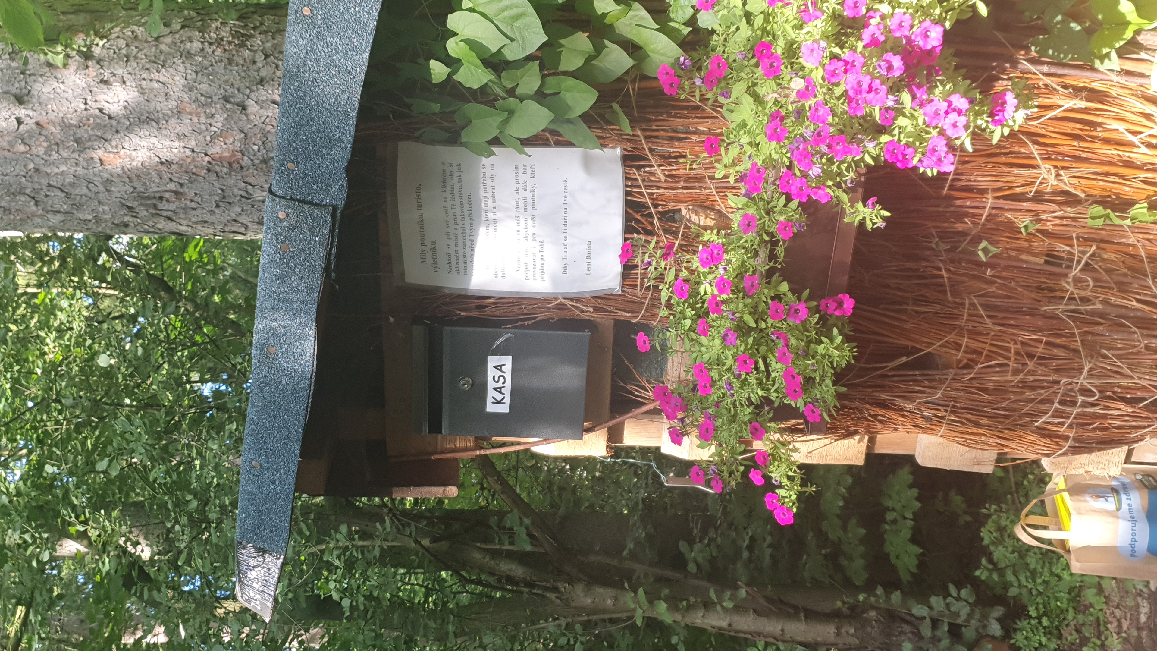 Lesní bar Bechlejovice foto 5