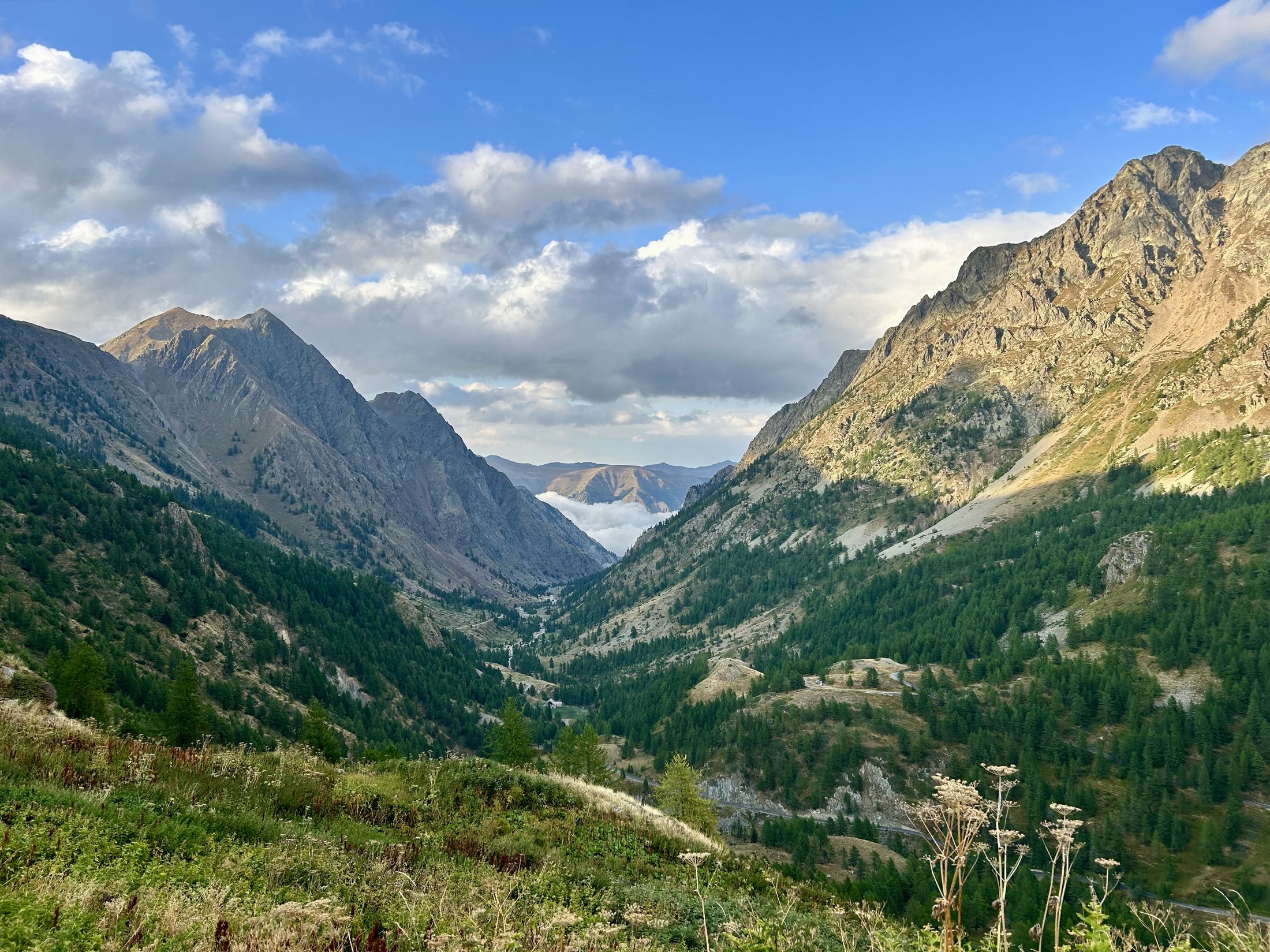 Alpy Nadmorskie