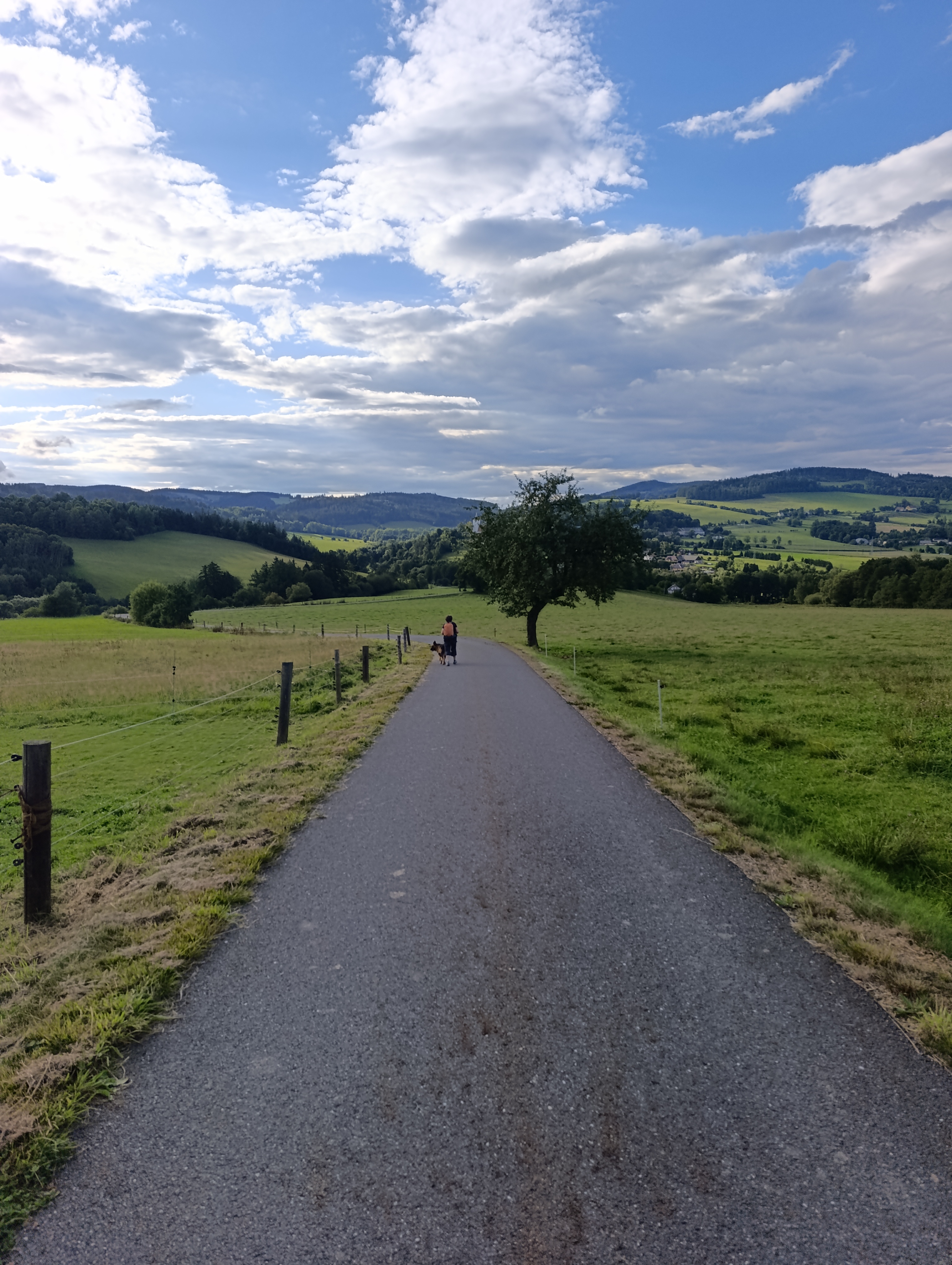 Malebná chata - Petrovice u Sušice foto 2