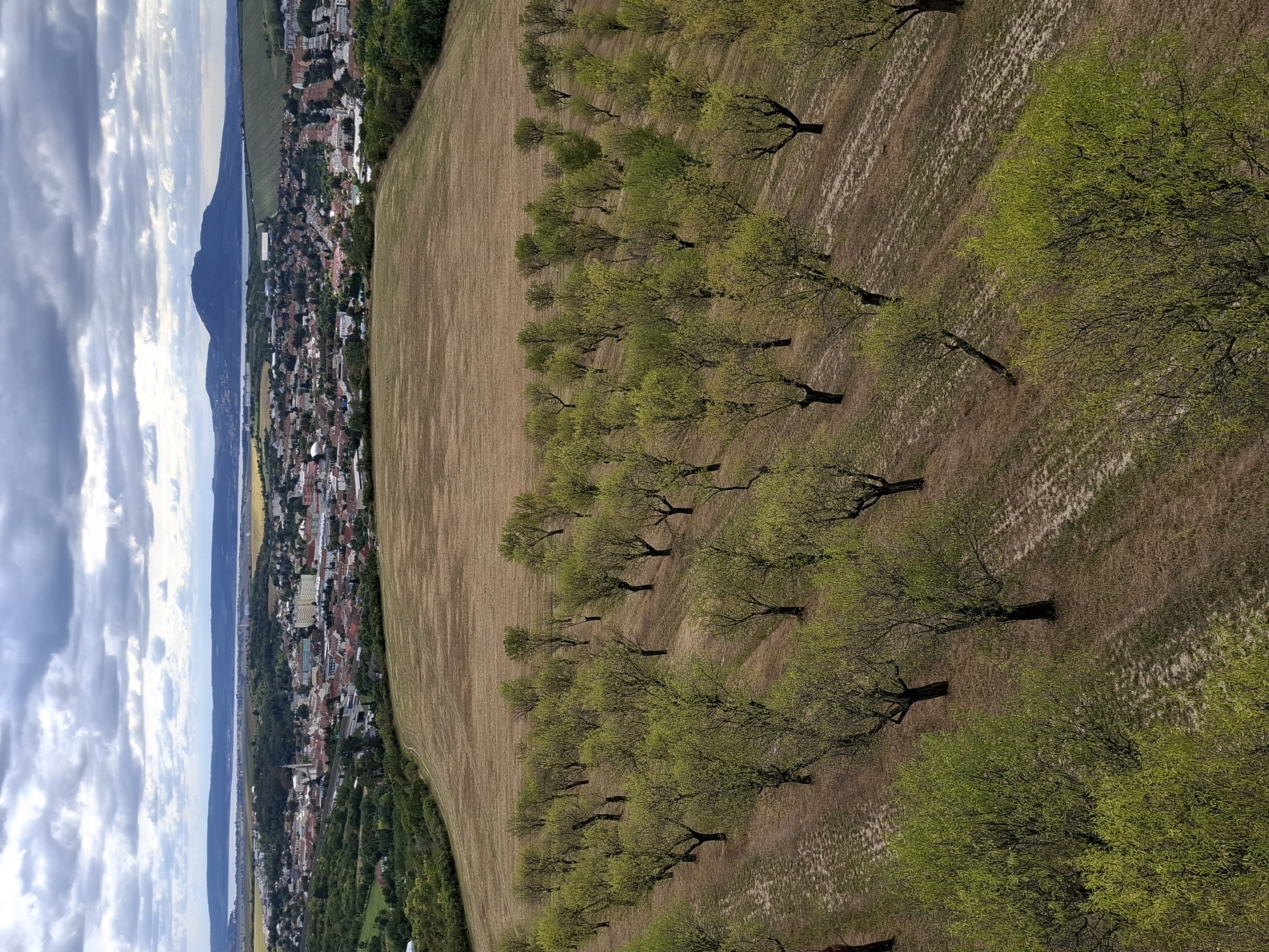 Mandlárna - stánek v sadu foto 4