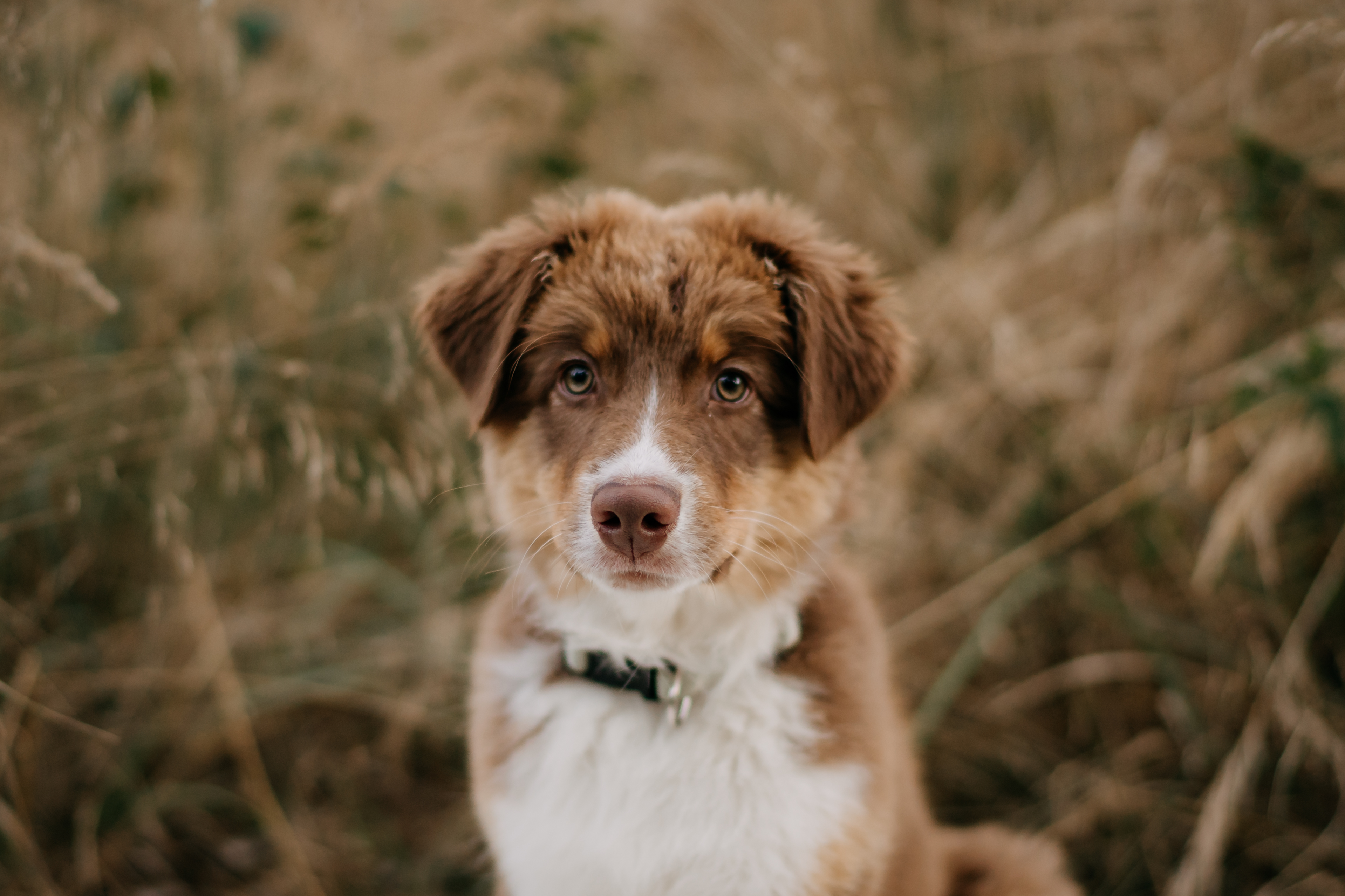 Fotografka Ilona Hrdličková foto 5