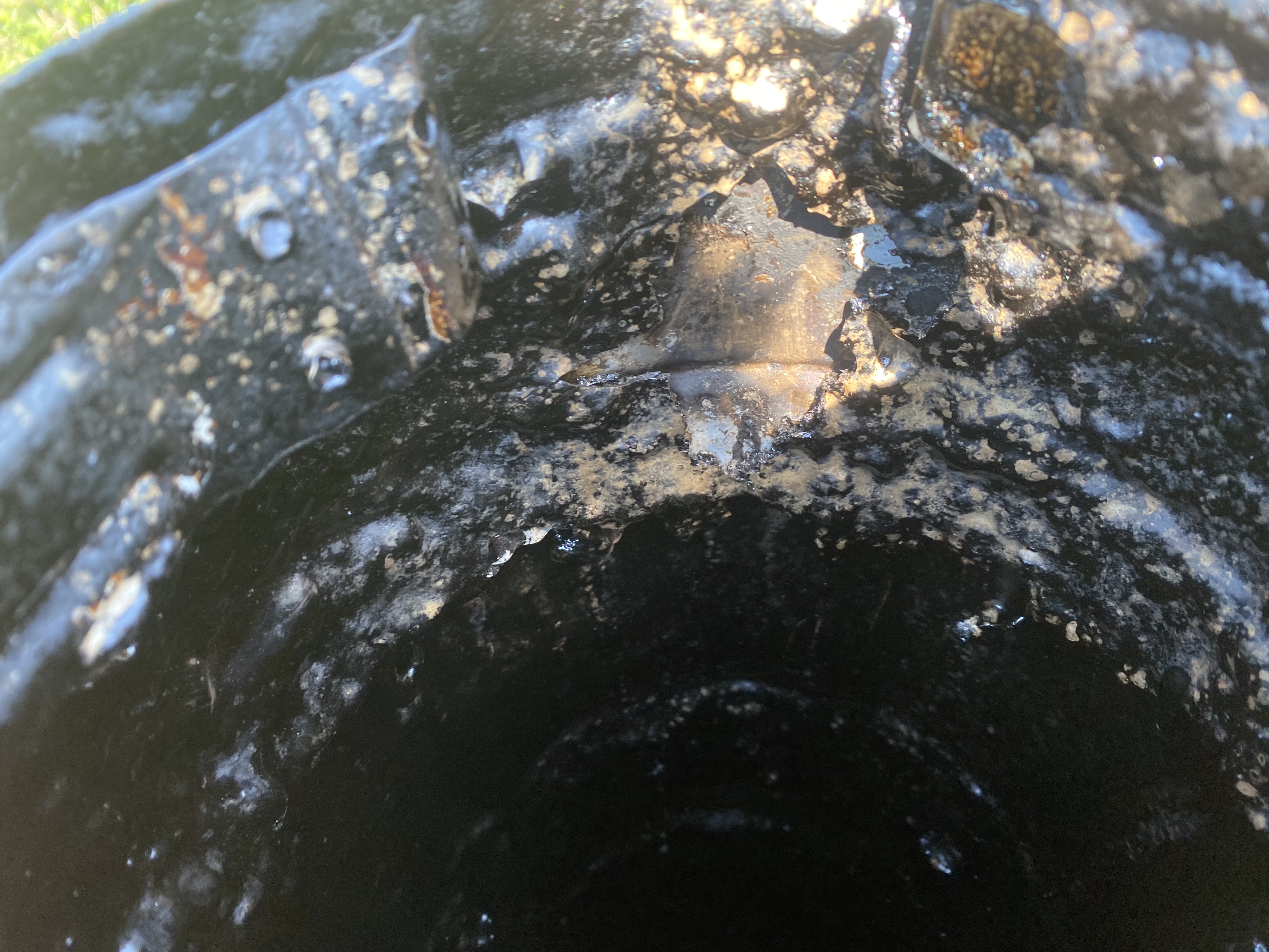 Kominictví Slovácko foto 4