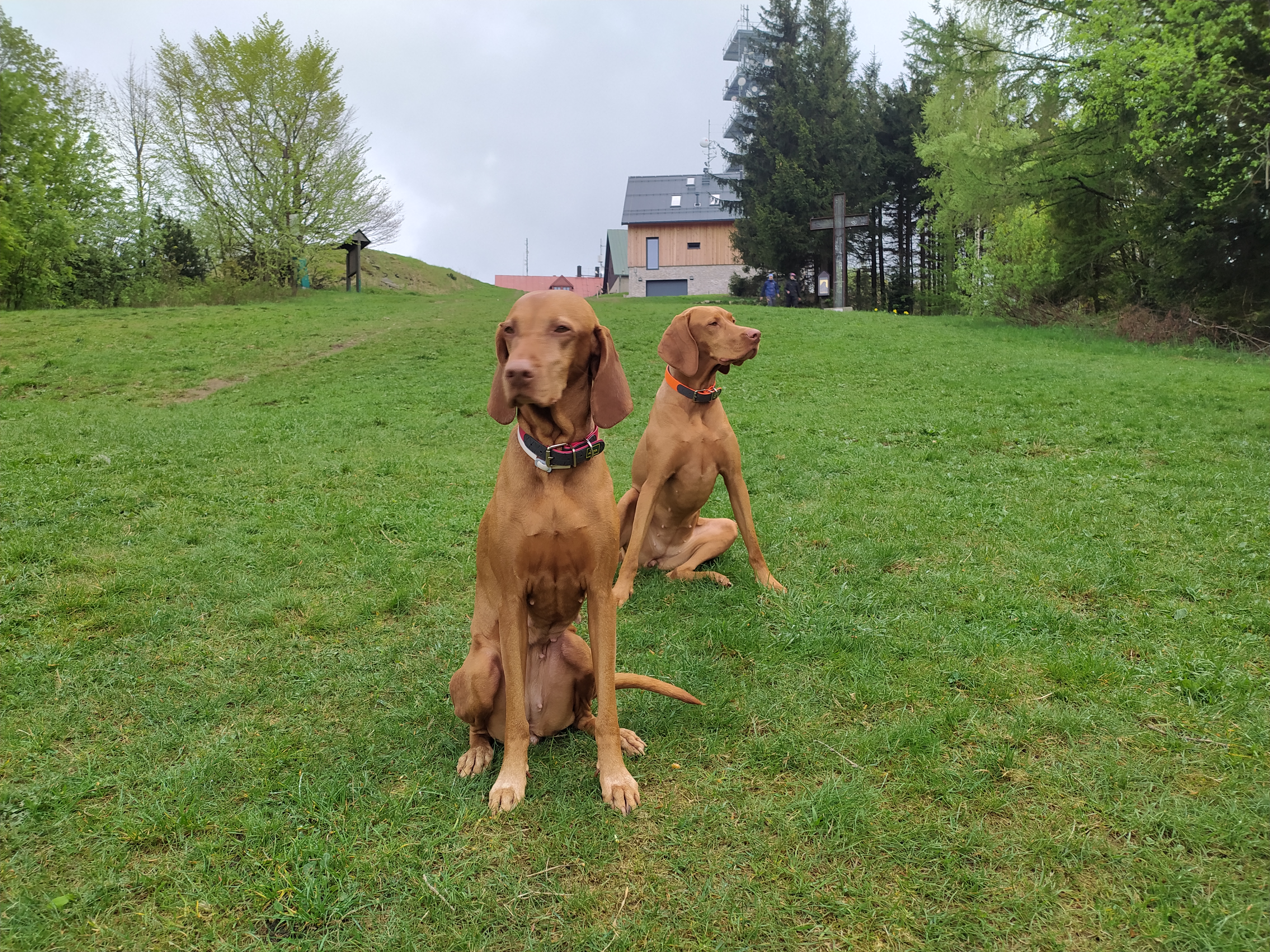 Veterinární klinika Medipet foto 5