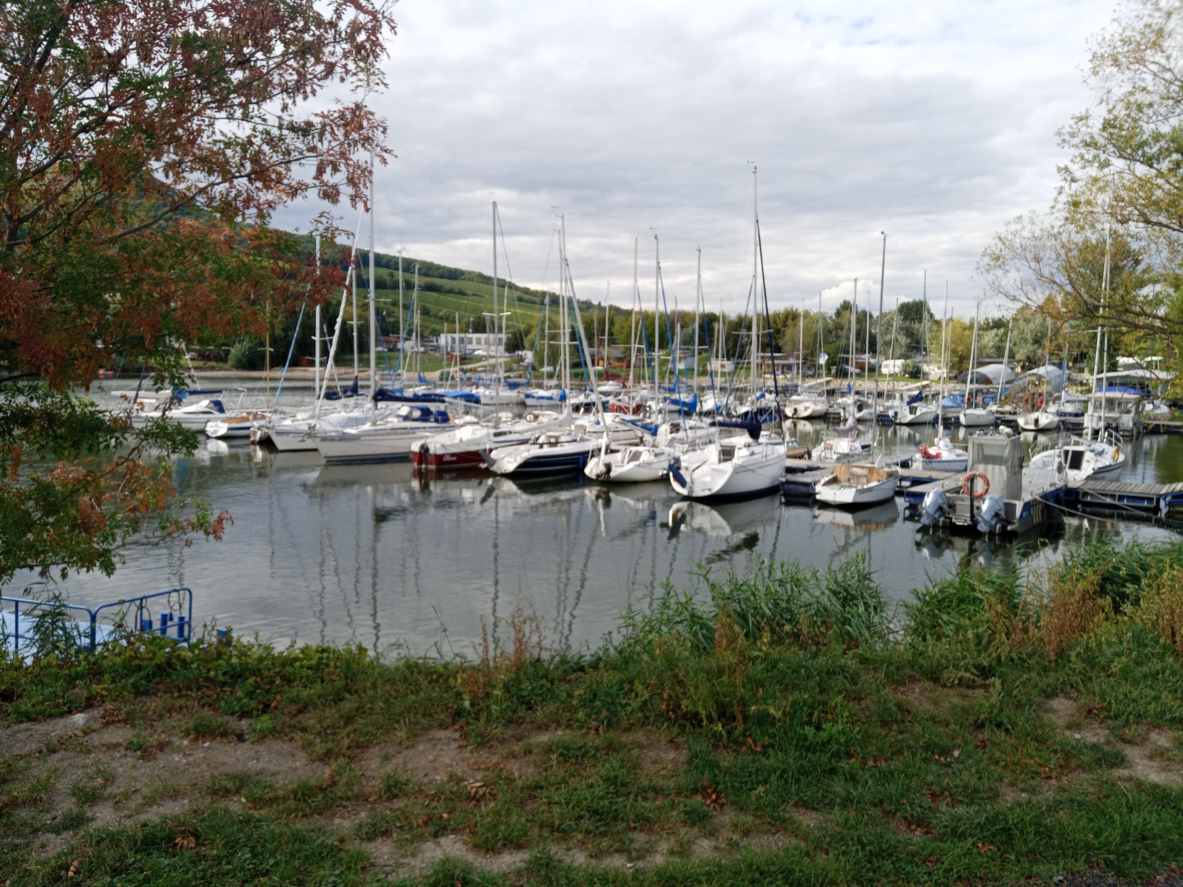 YachtClub Dyje foto 4