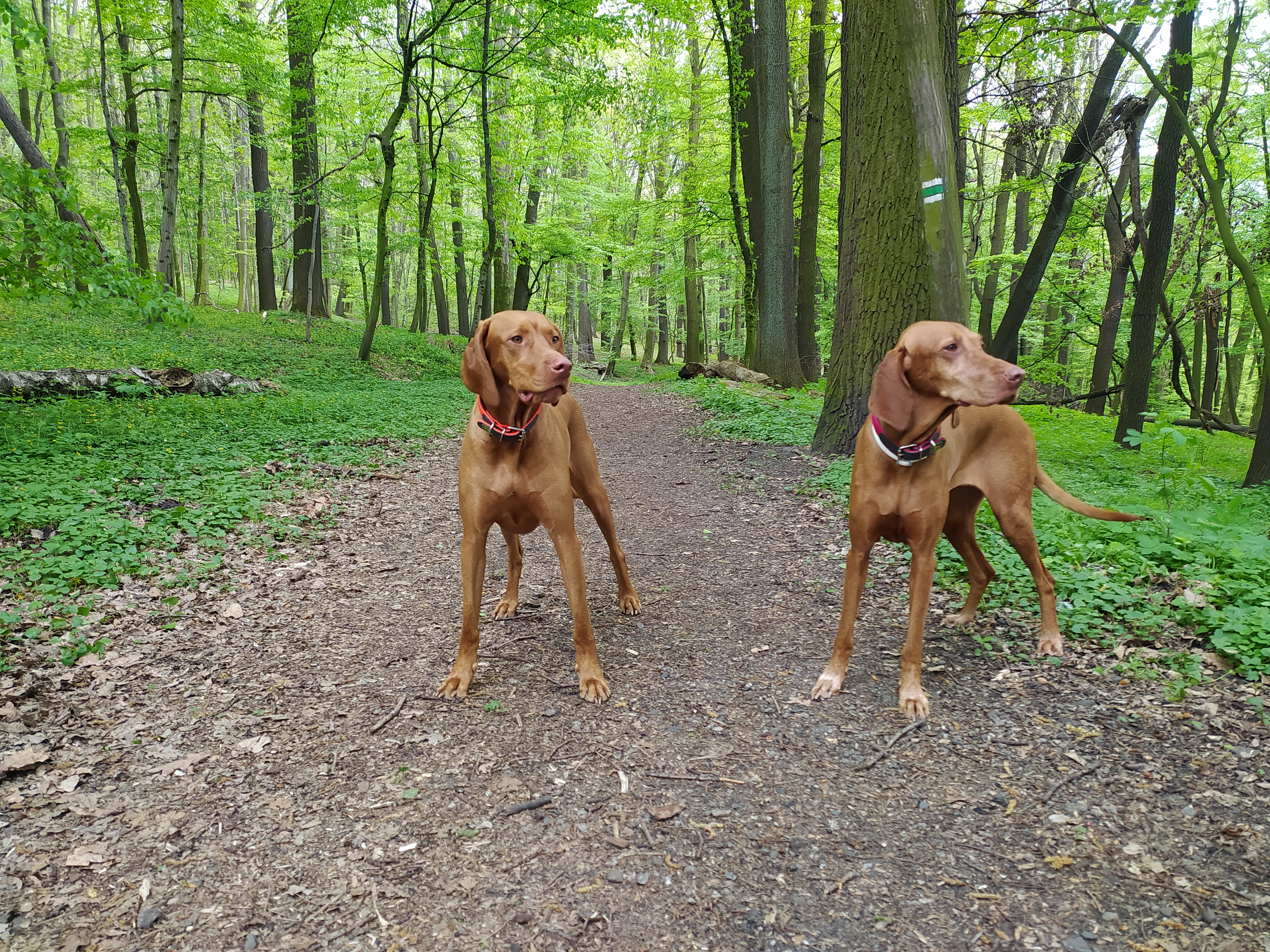 Veterinární klinika Medipet foto 5