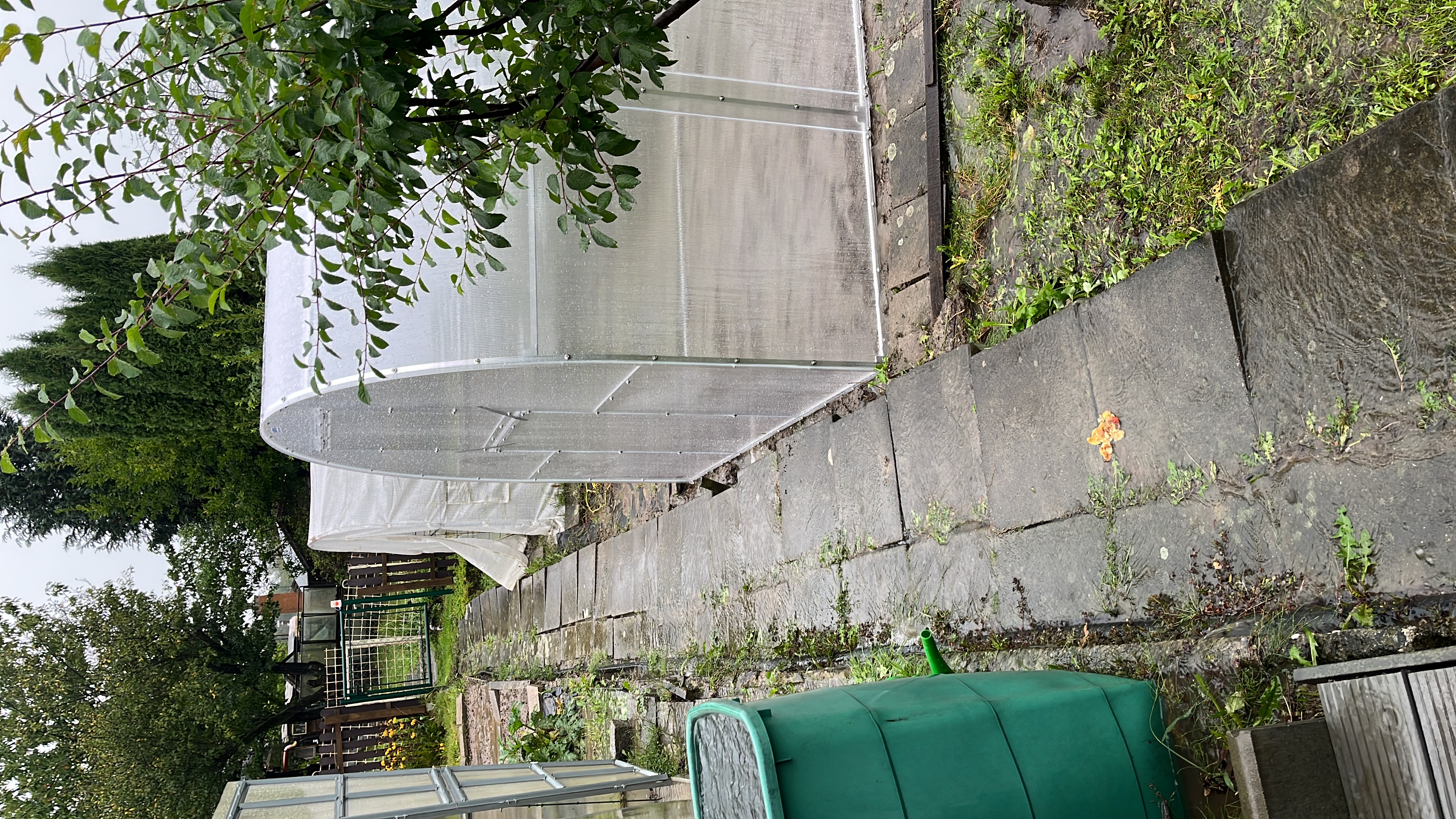 Skleníky Bureš foto 2