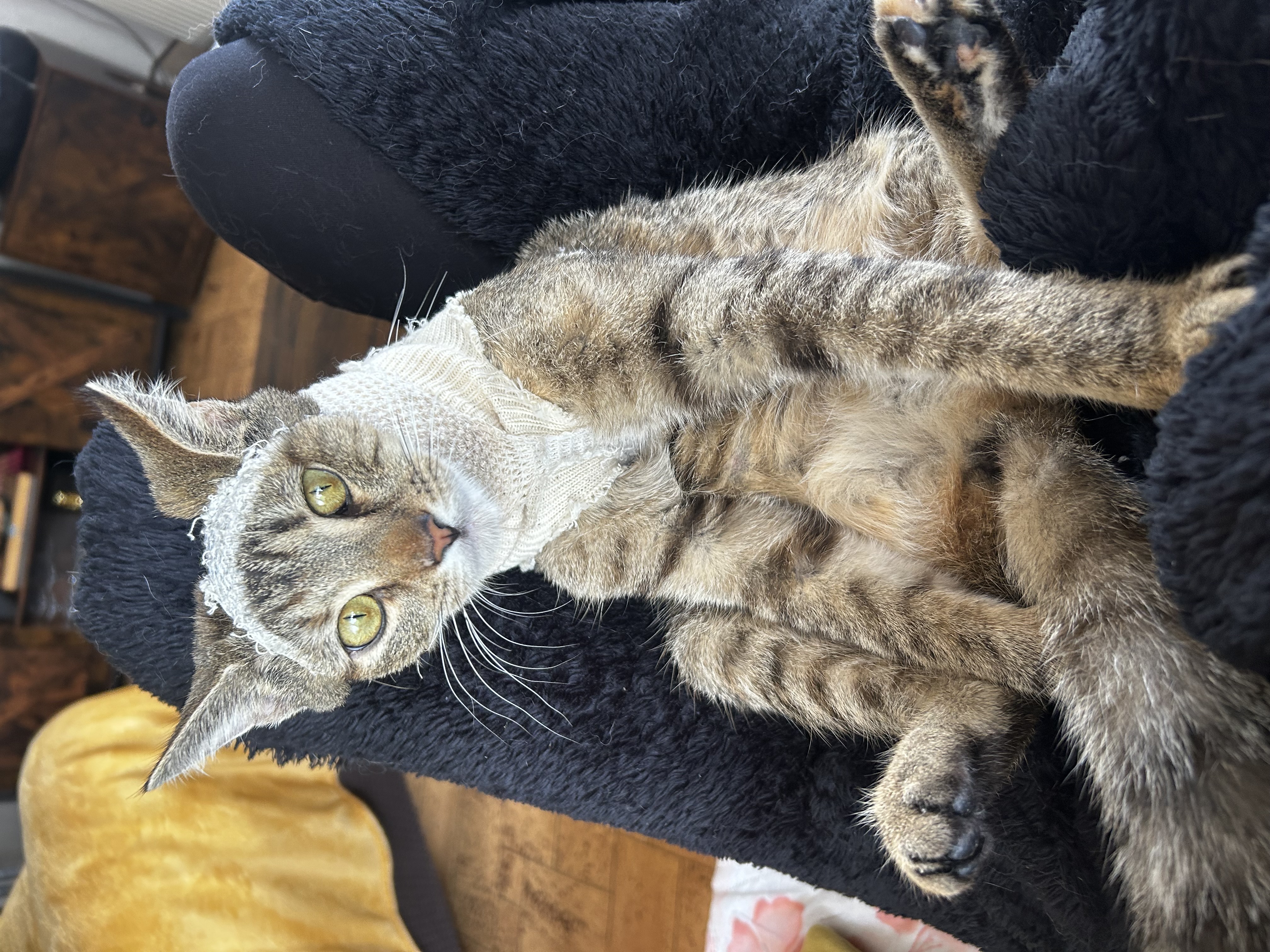 Veterinární klinika - VetPark foto 3