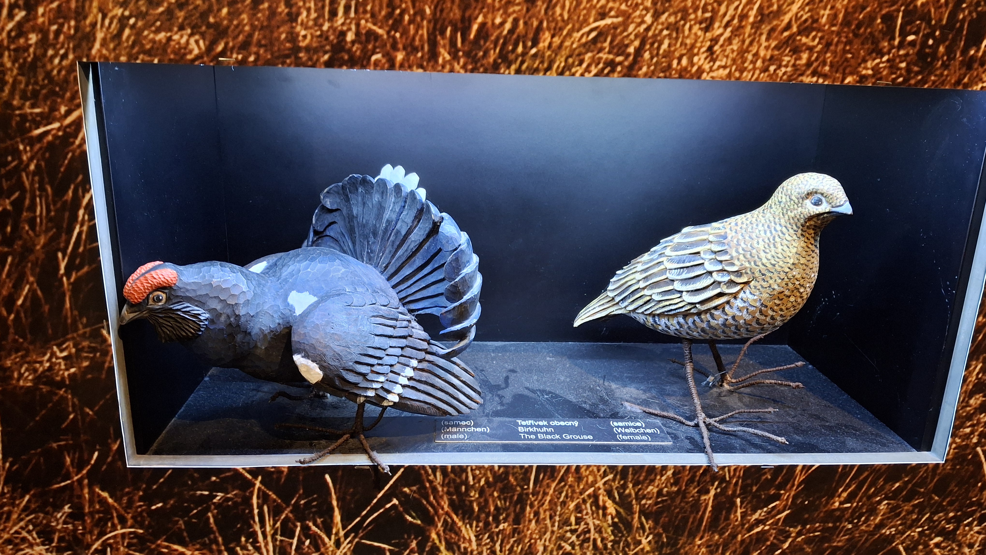 Dům přírody Jizerských hor foto 3