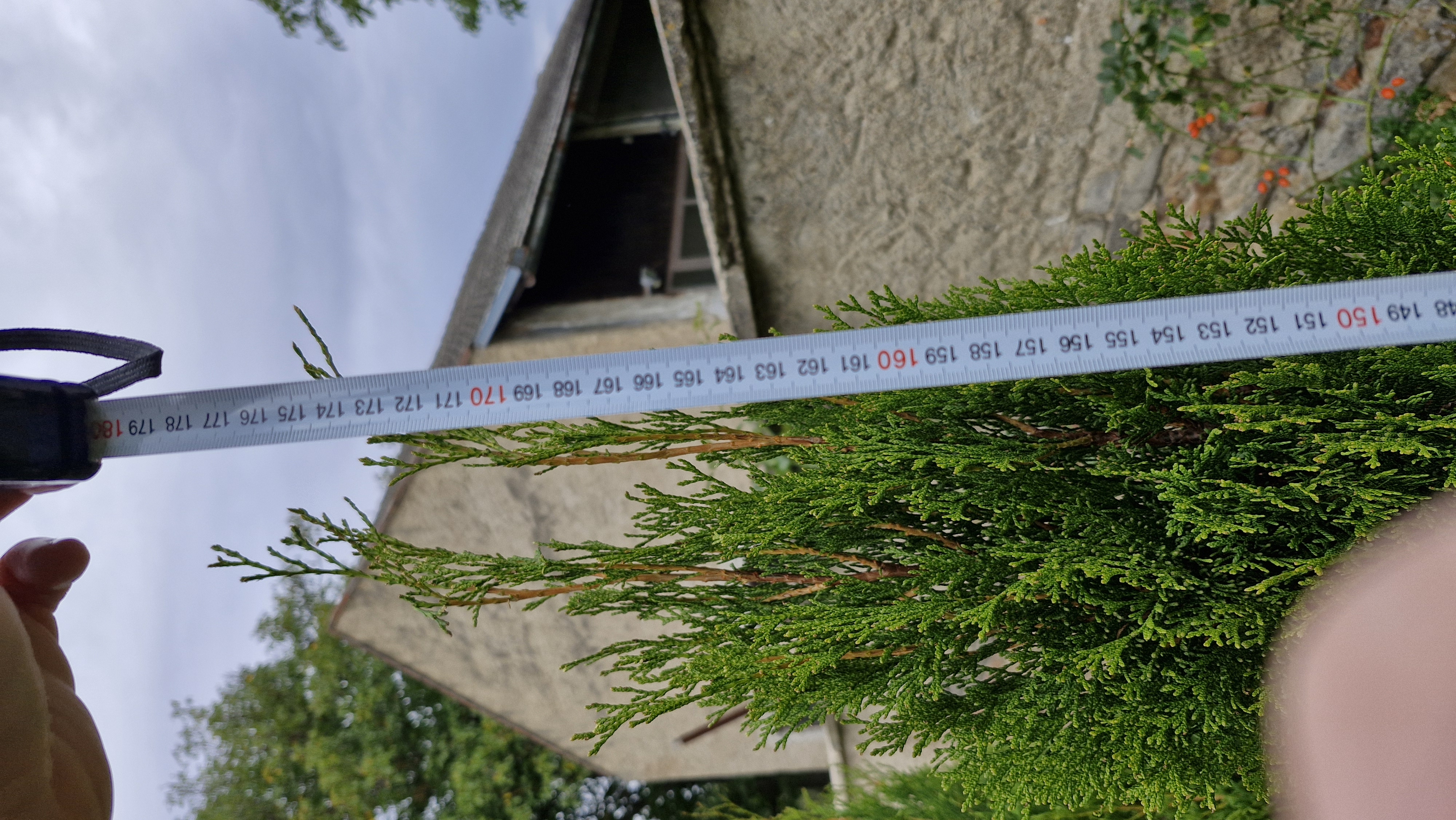 Beskydthuje.cz foto 2