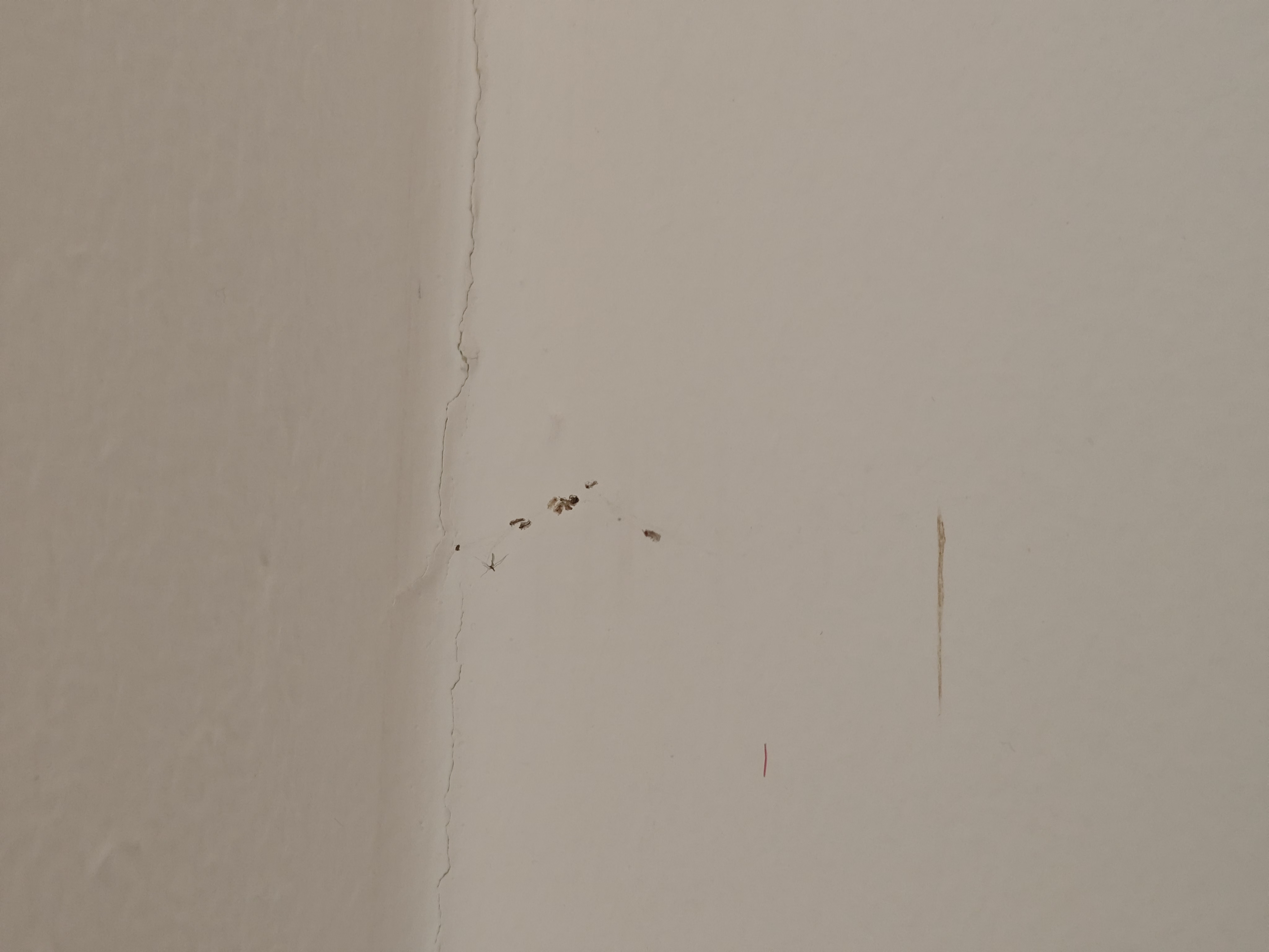 Residence Knížecí Dvůr foto 3