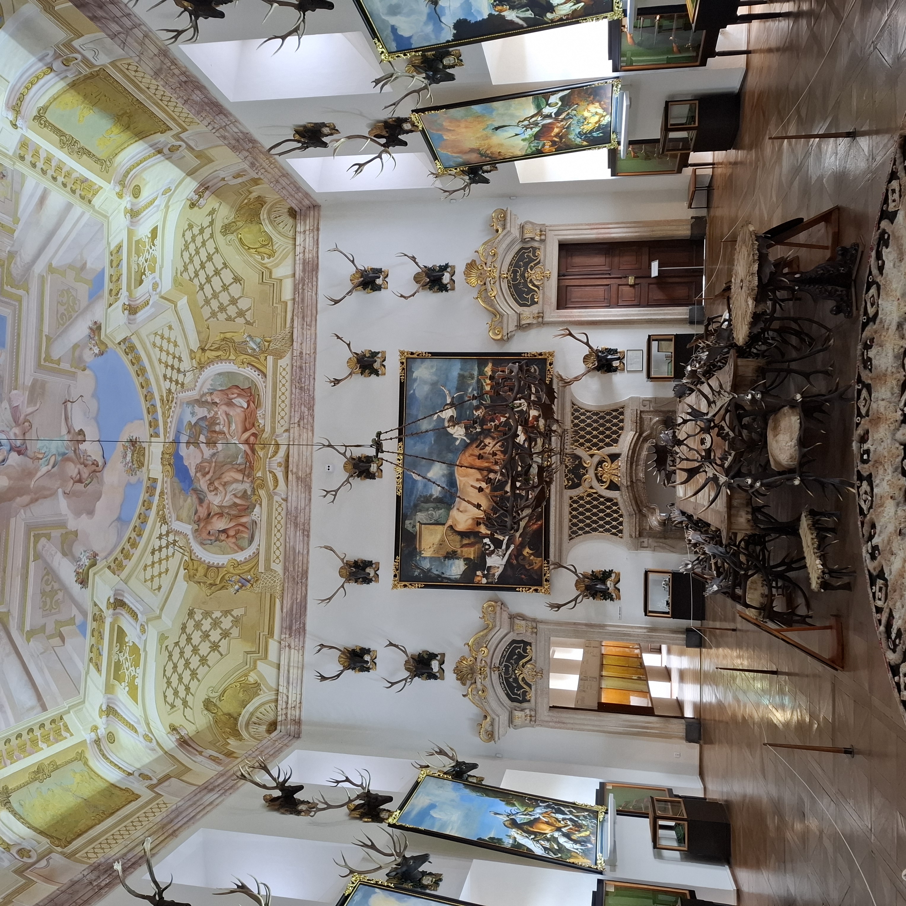NZM Ohrada - Muzeum lesnictví, myslivosti a rybářství foto 3