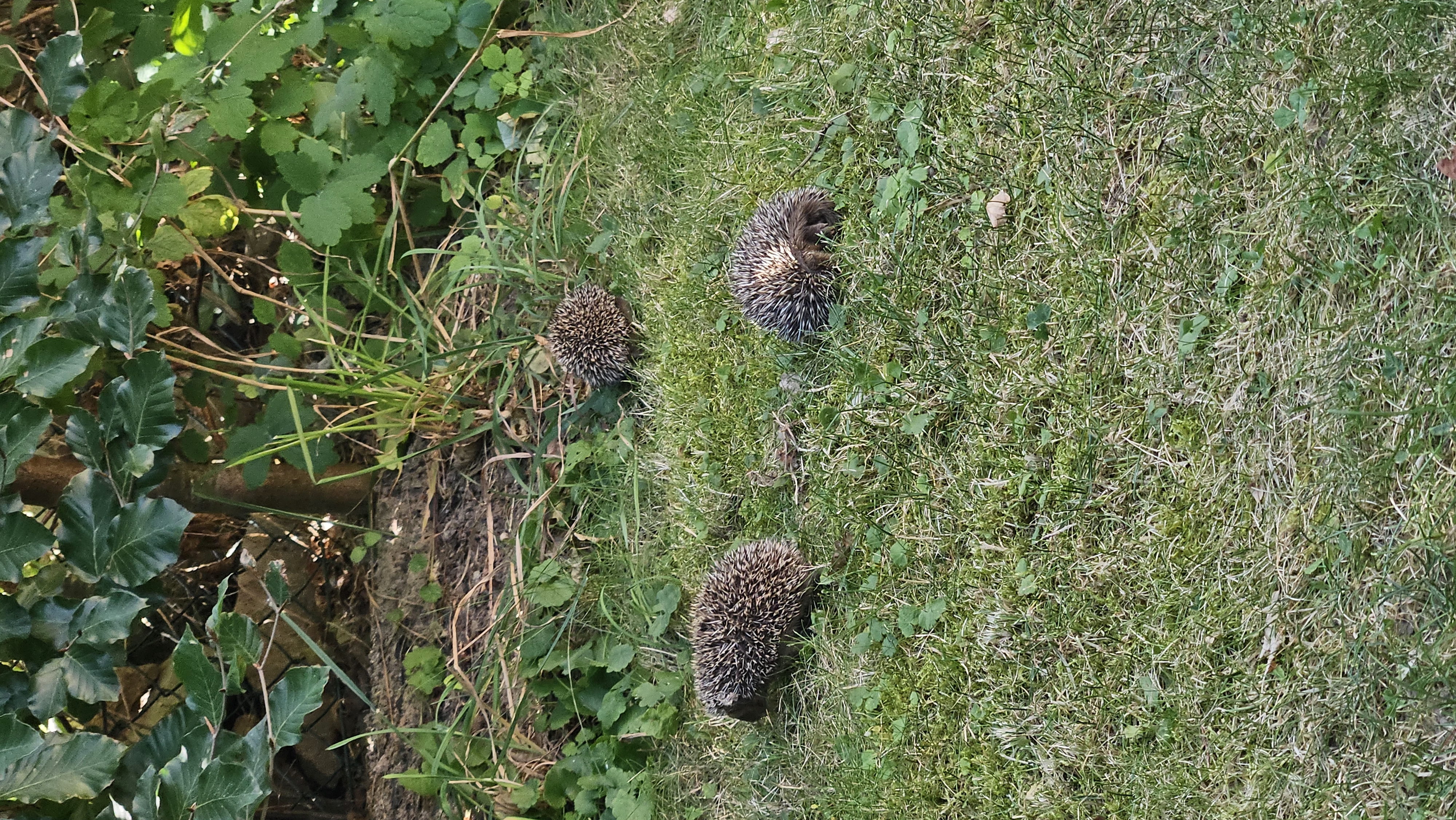 Penzion U Štoly foto 4