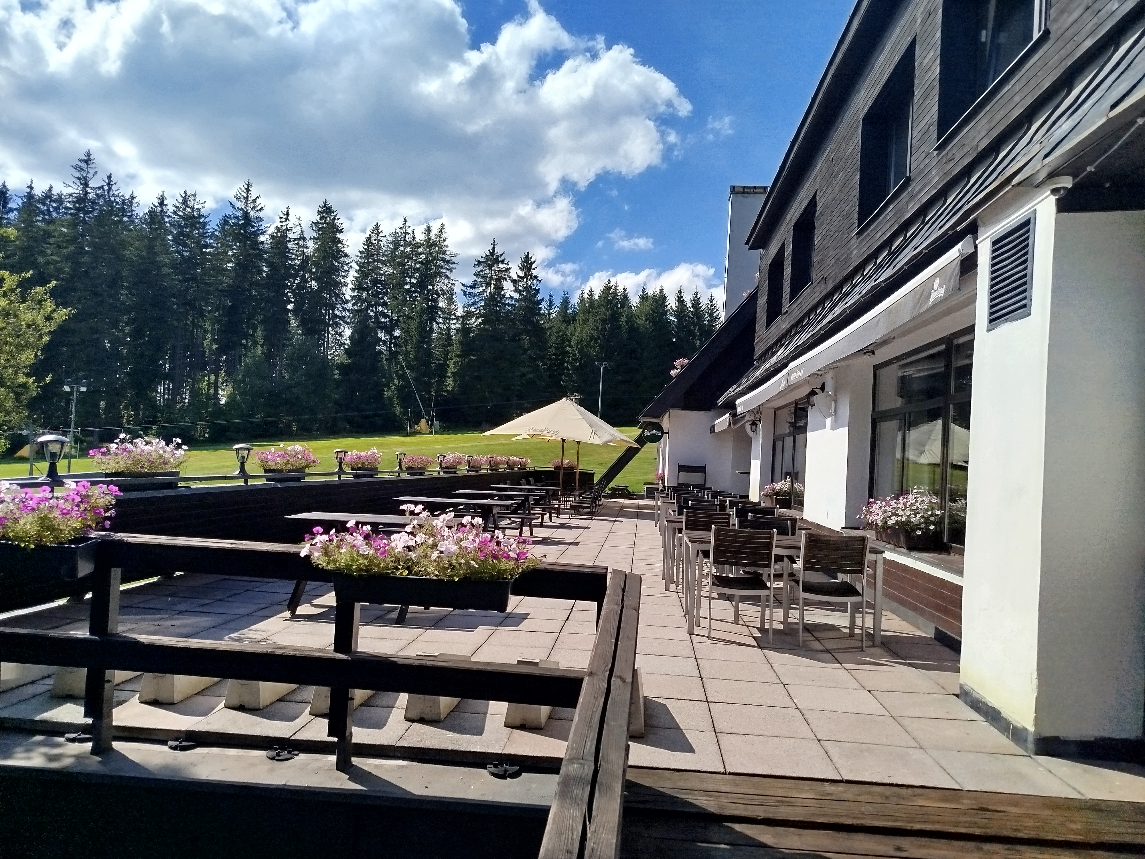 Wellness Hotel Šedý Vlk foto 3