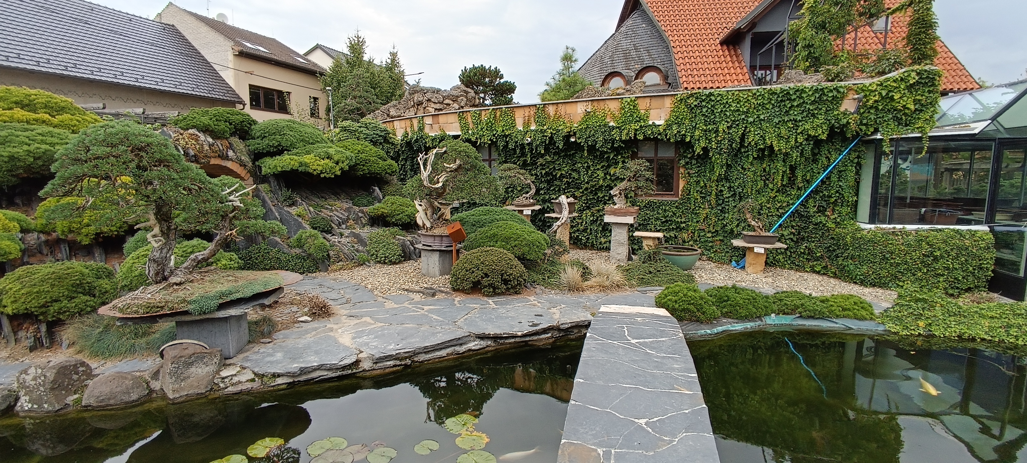 Isabelia - Josef Valuch foto 2