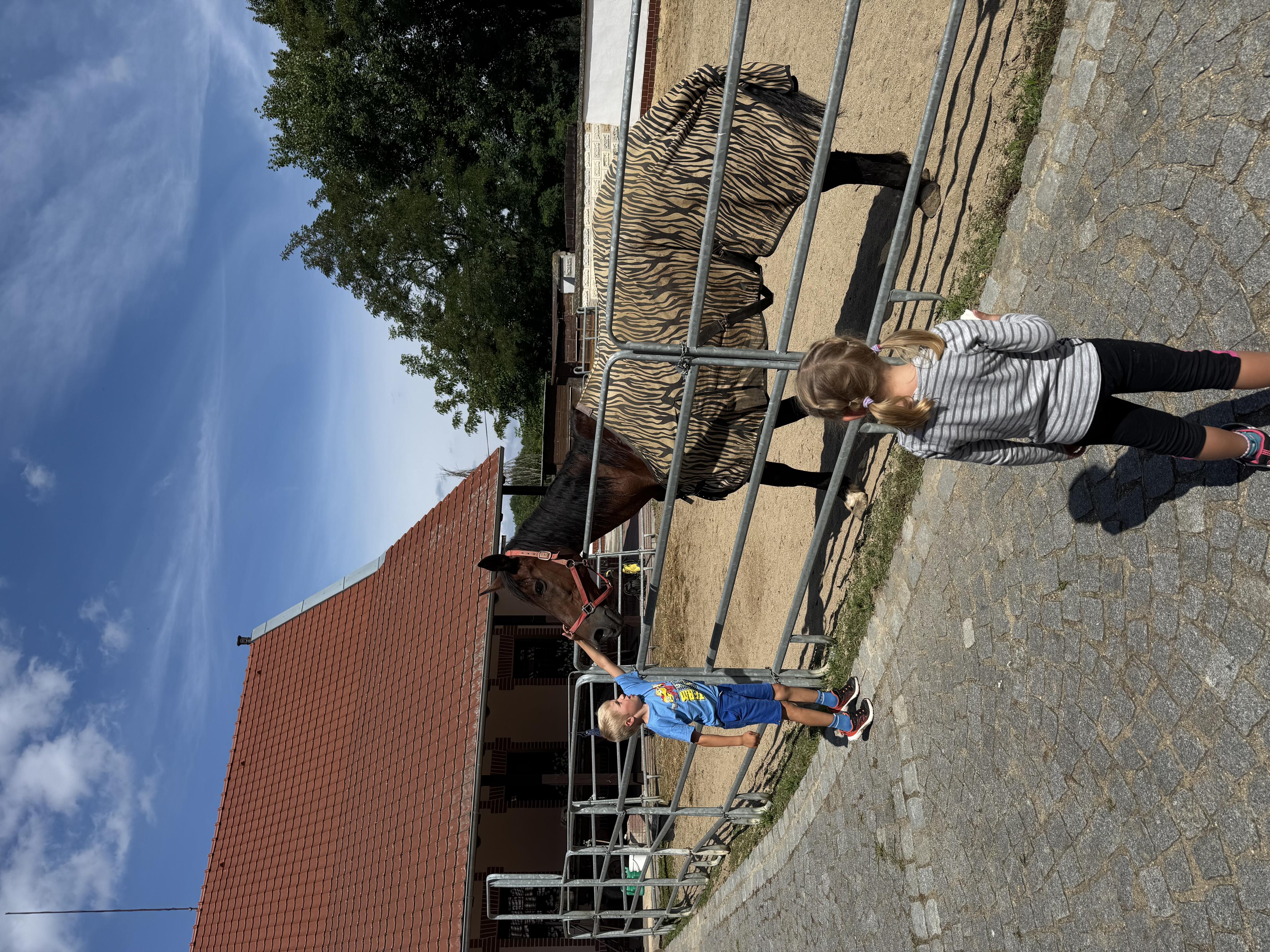 Podřipská farma rodiny Šebkových foto 2