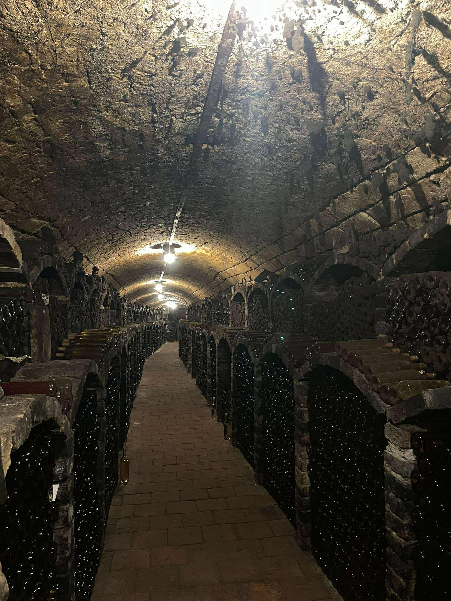 Penzion Archivní sklepy Valtice foto 2