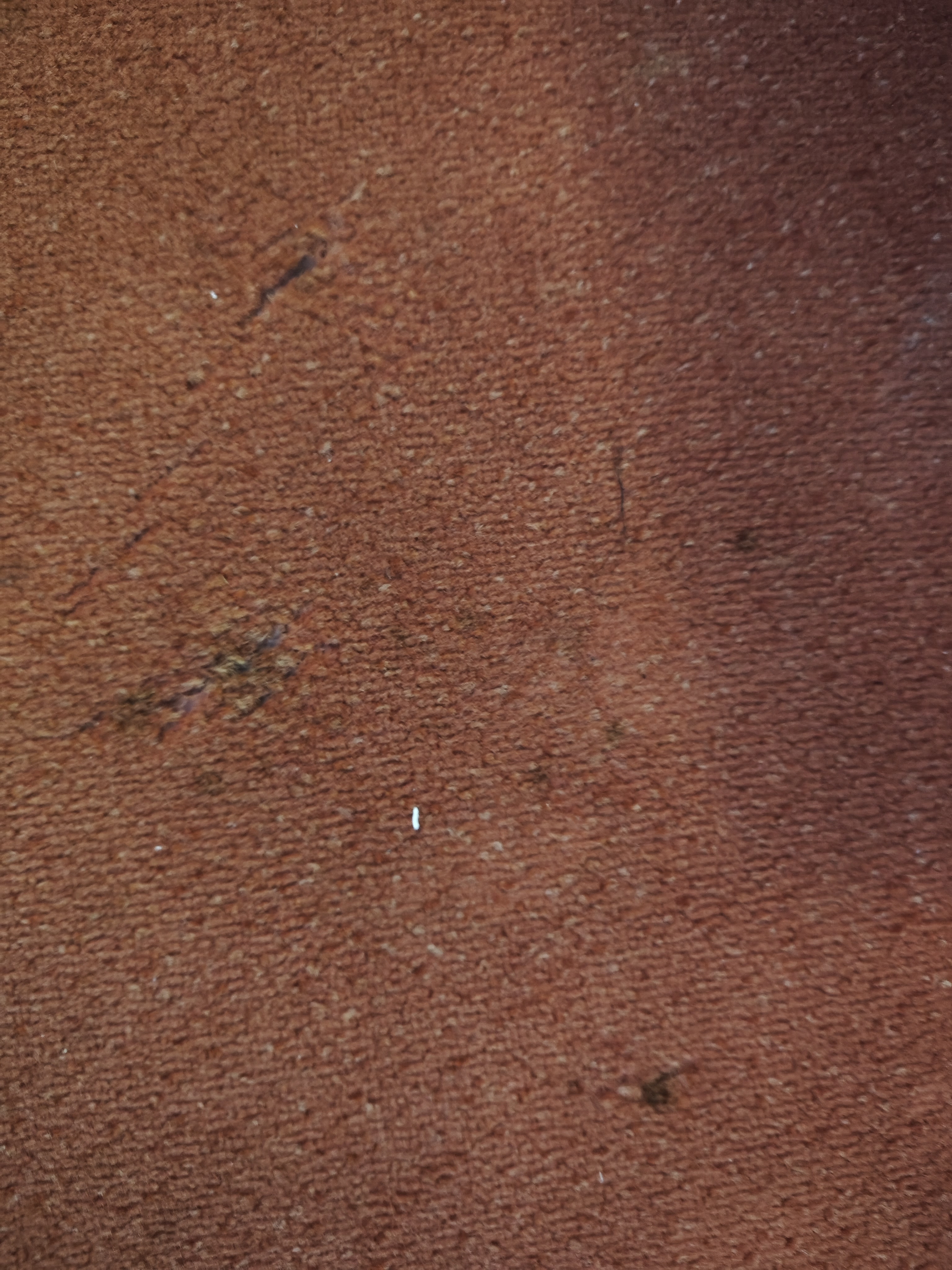 Residence Knížecí Dvůr foto 4