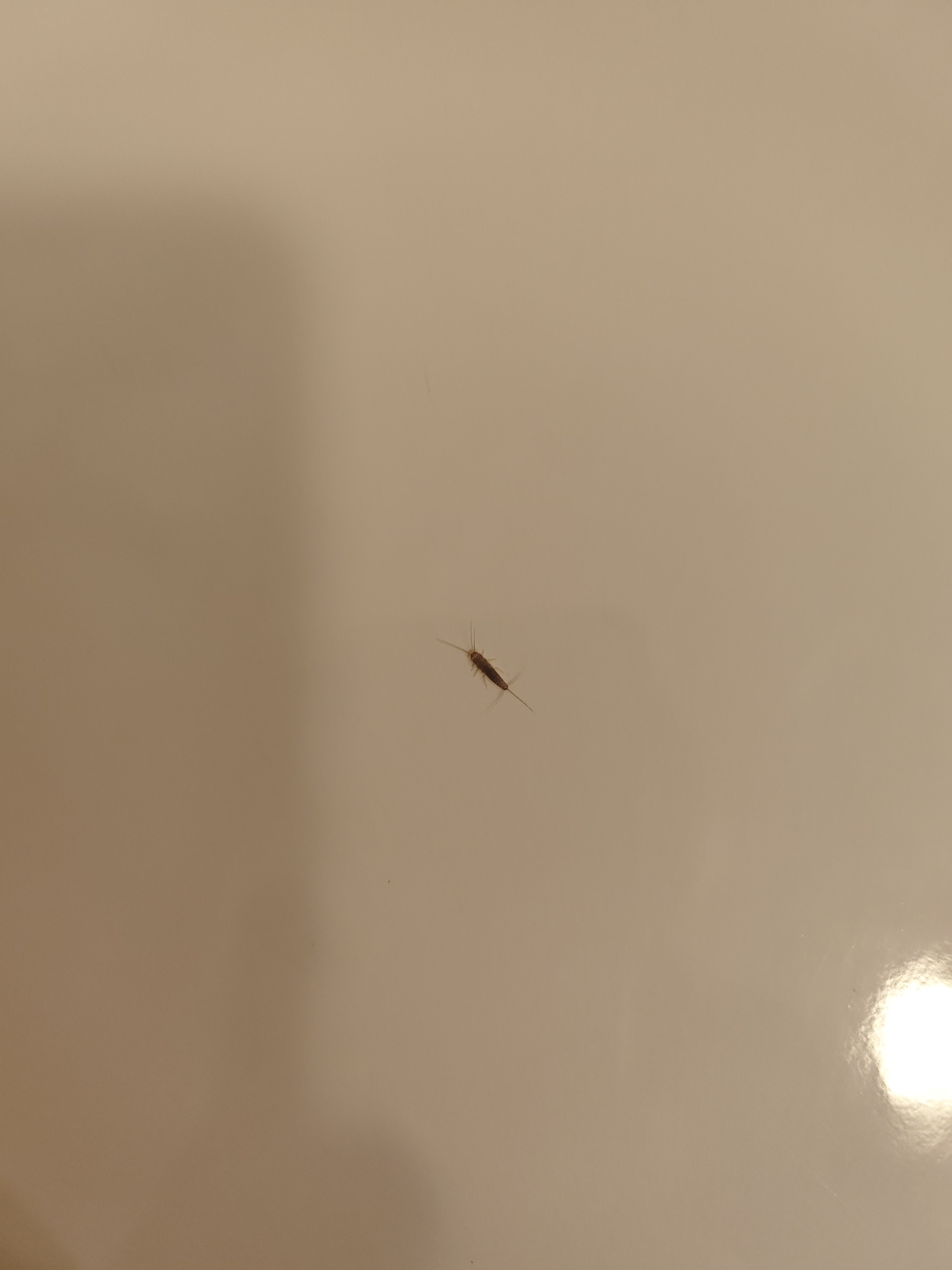 Residence Knížecí Dvůr foto 2