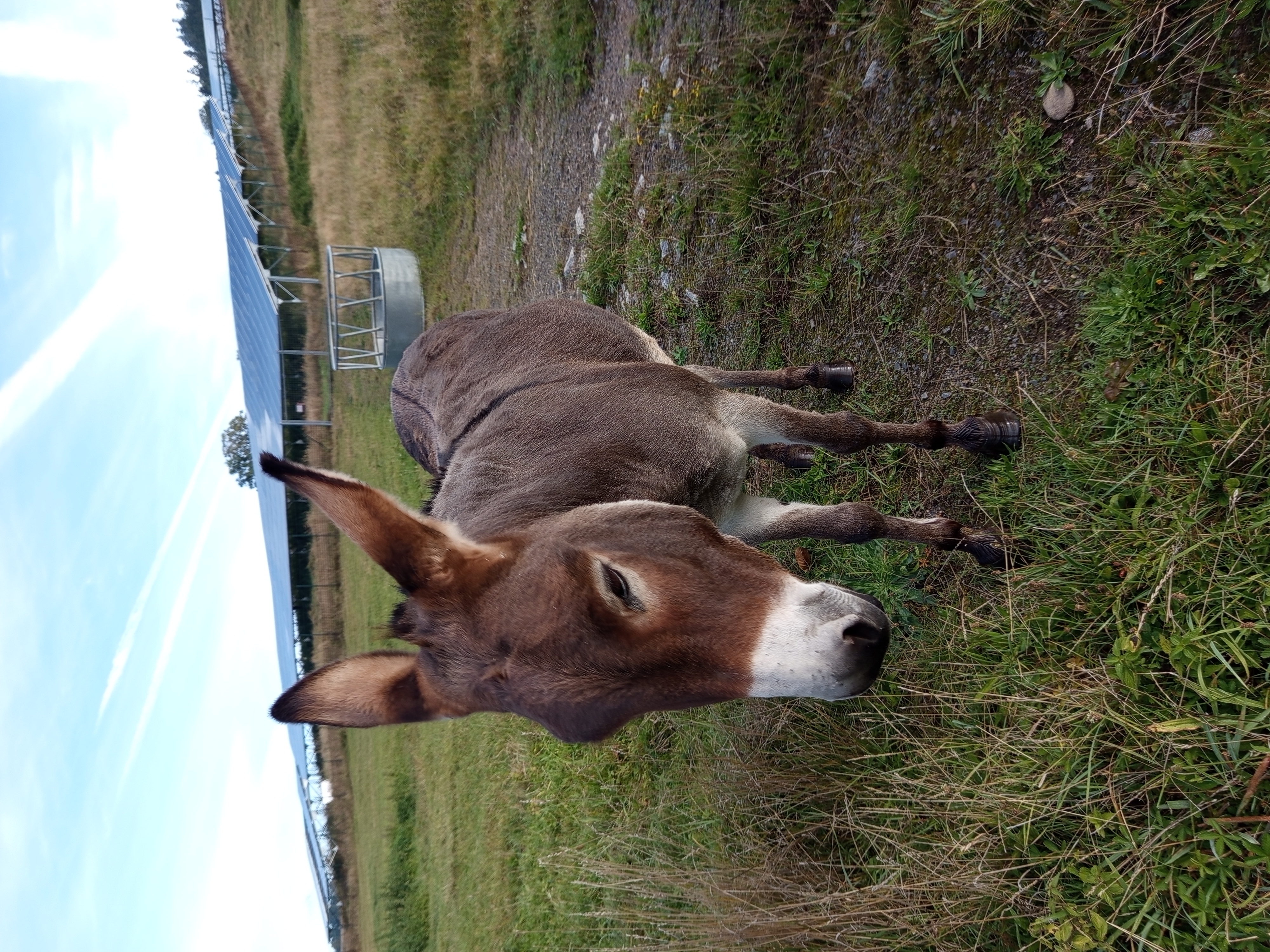 Penzion Brusinka foto 5