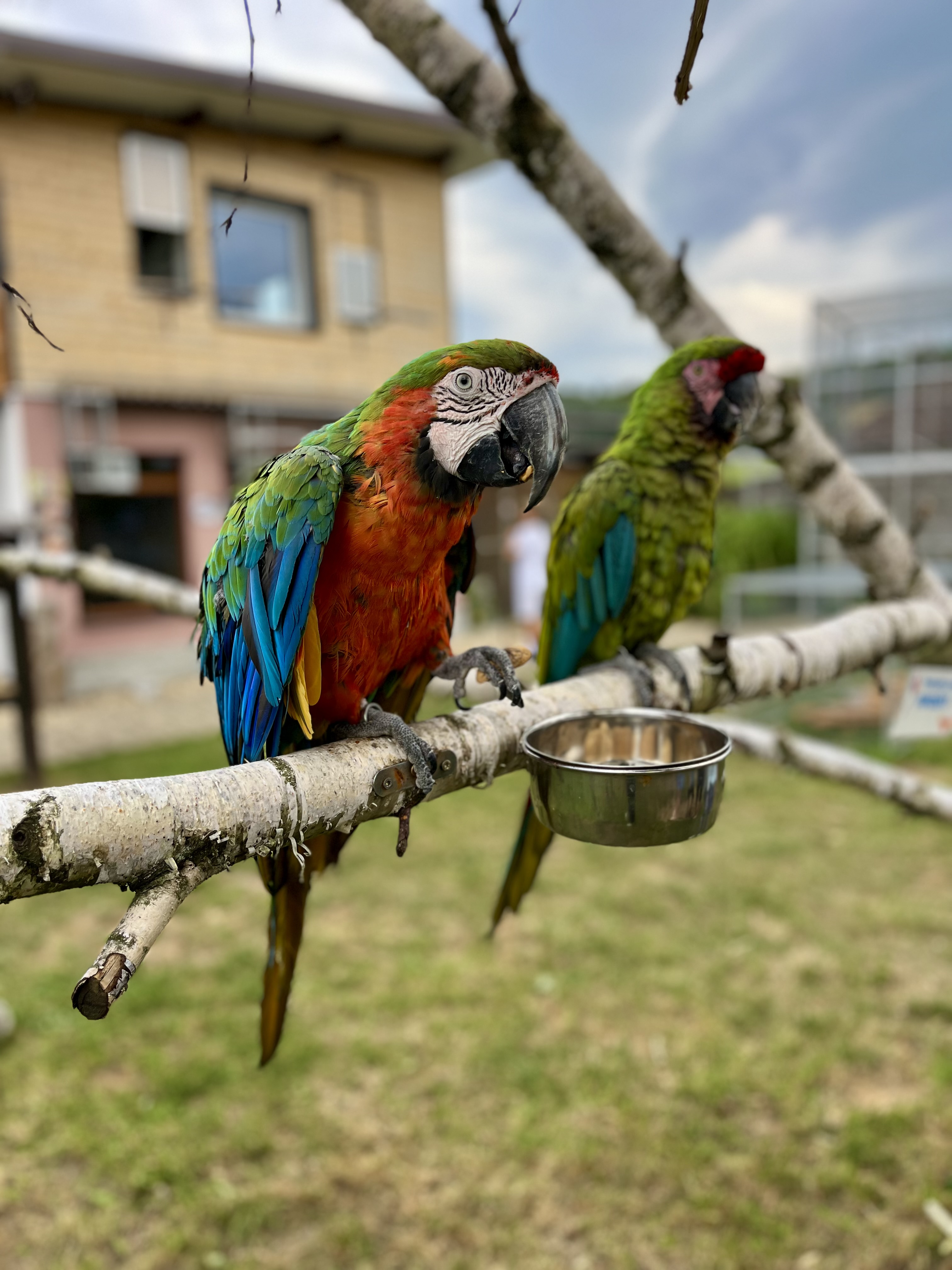 ZOO Faunapark foto 2