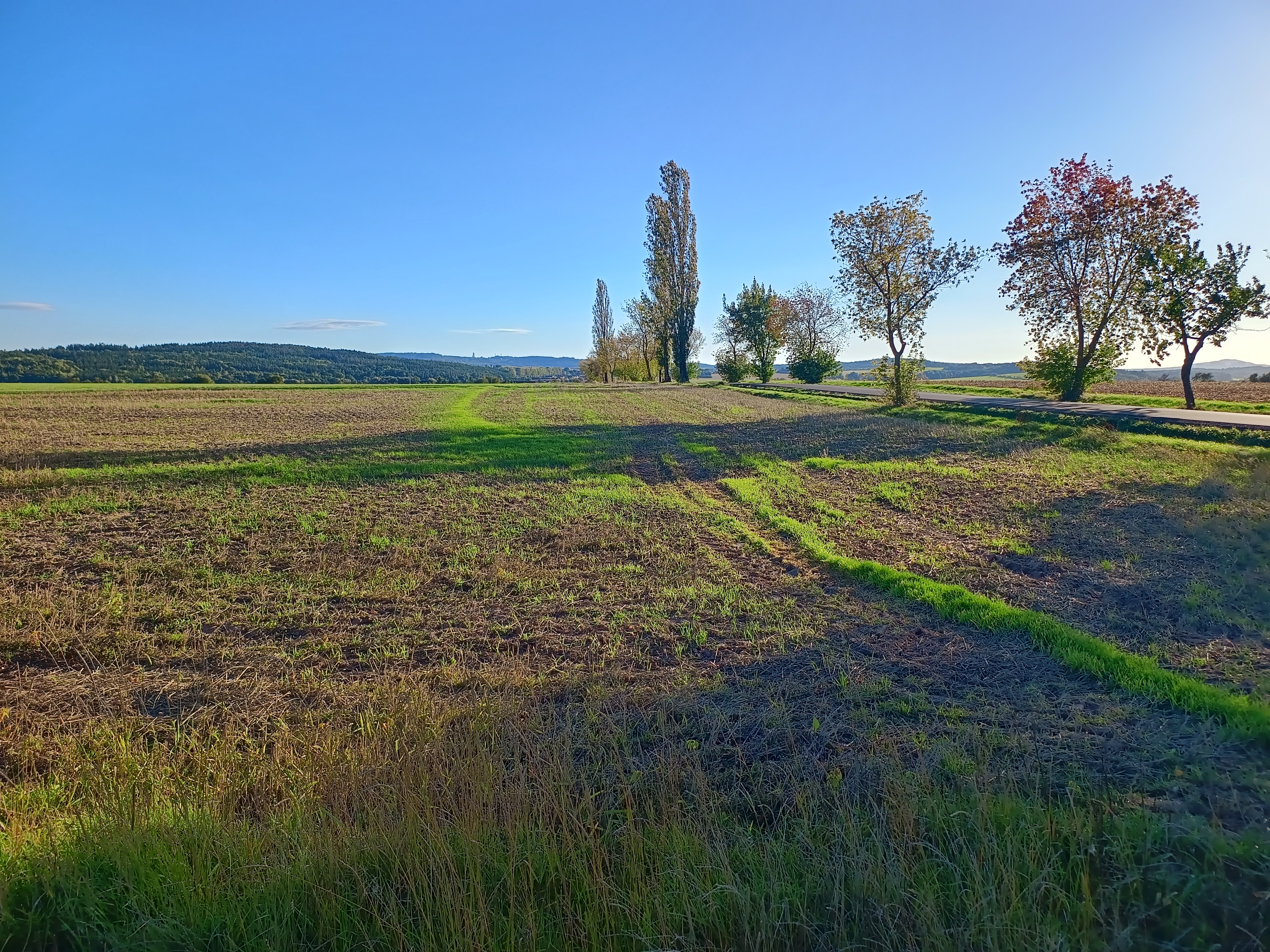 Rosovice - obecní úřad foto 2