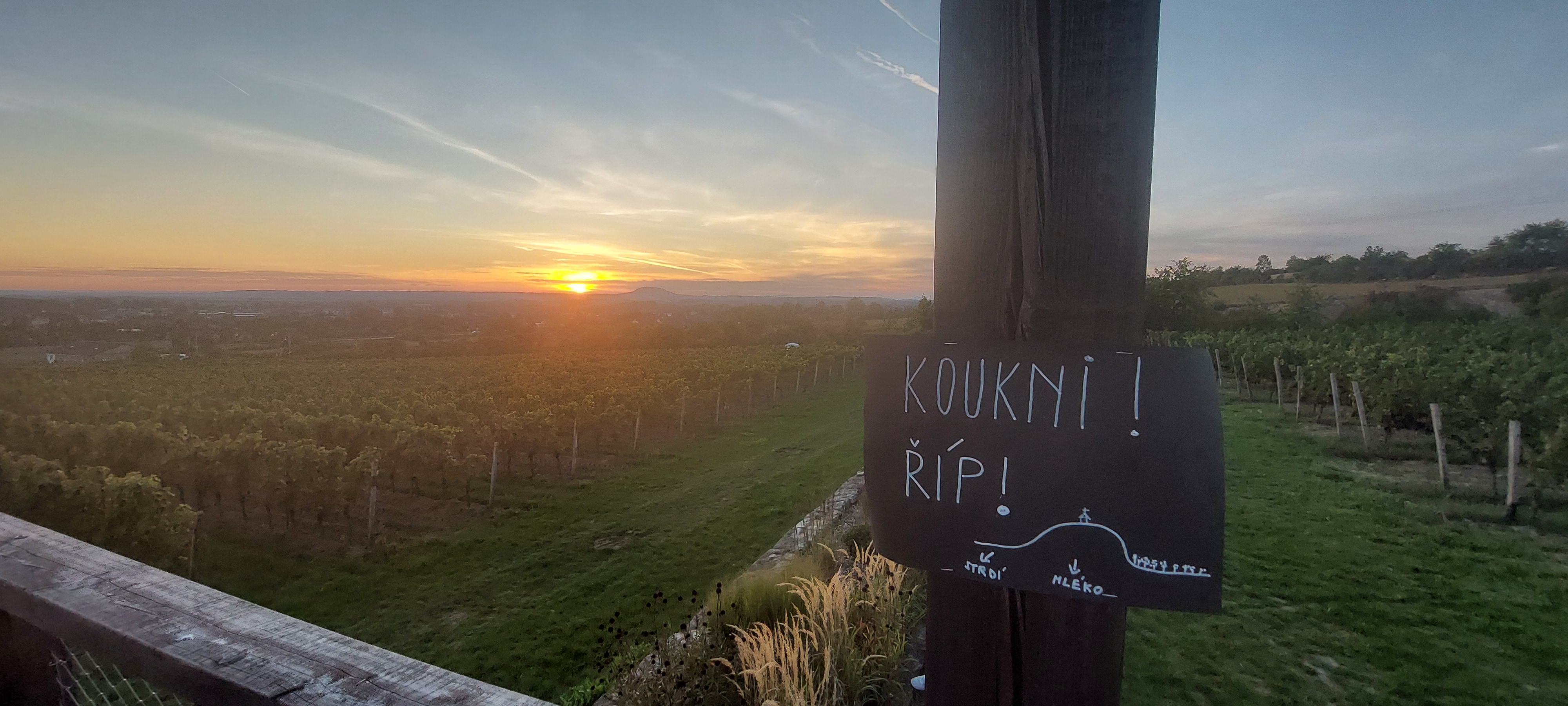 Vinice Klamovka foto 1