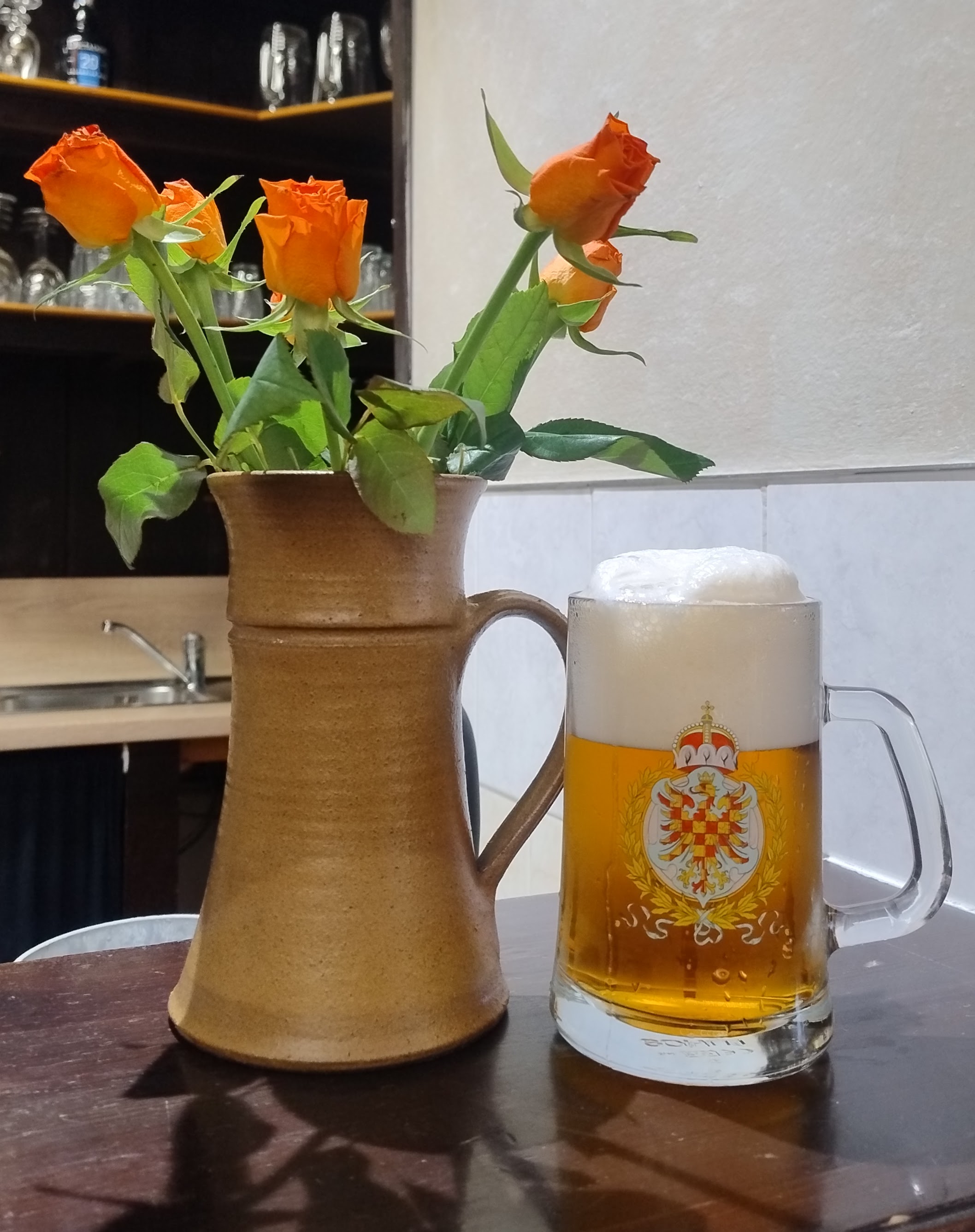 Restaurace U Ševčíků foto 2