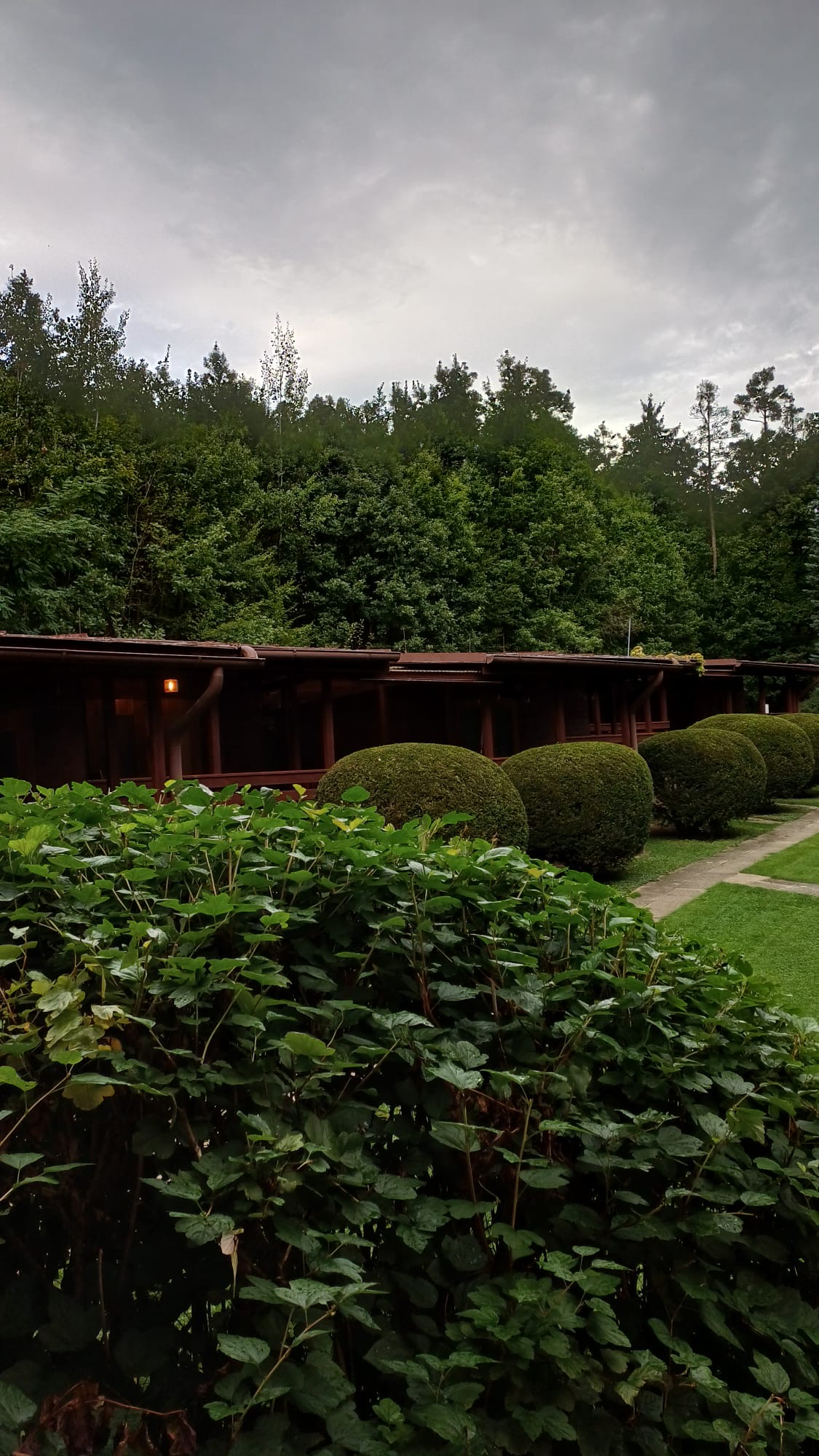 Zátoka Živohošť foto 5