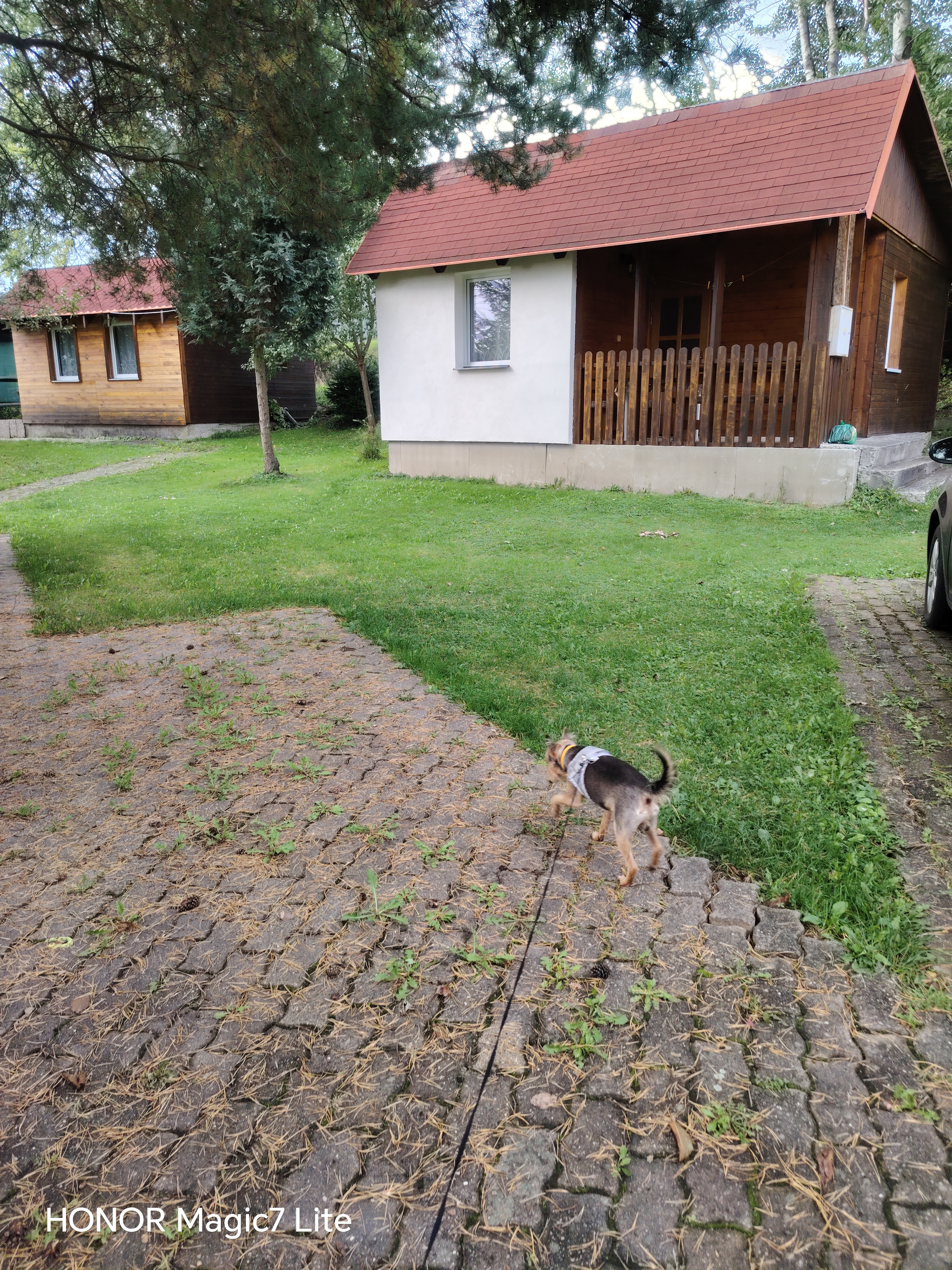 Ubytování Karlova 2326 foto 3