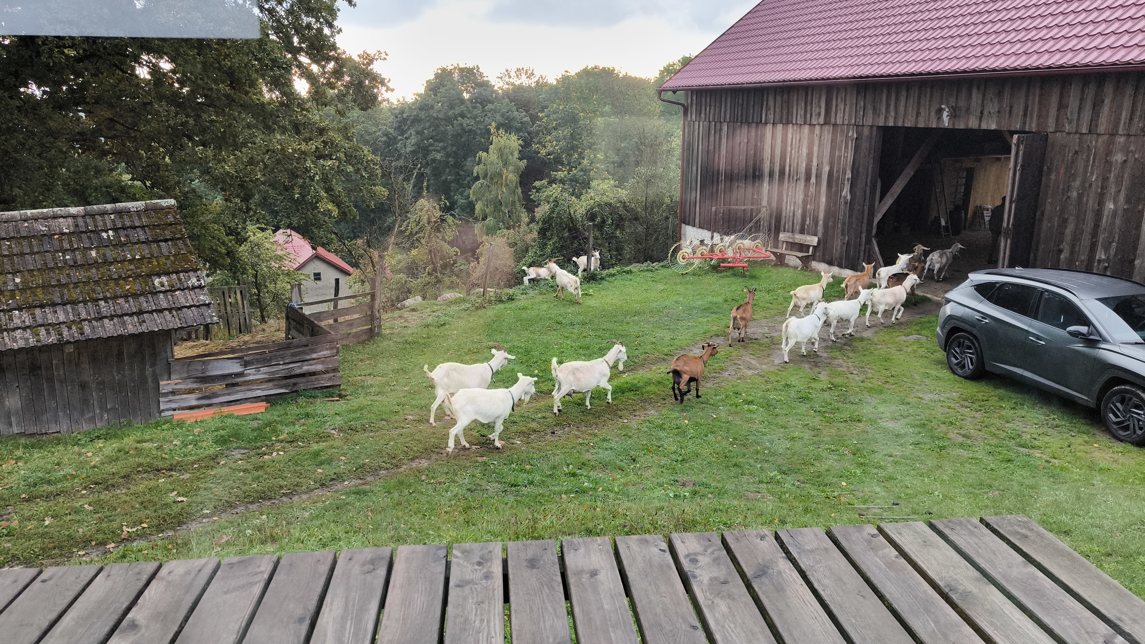 Kozí farma - Horní chalupa foto 2