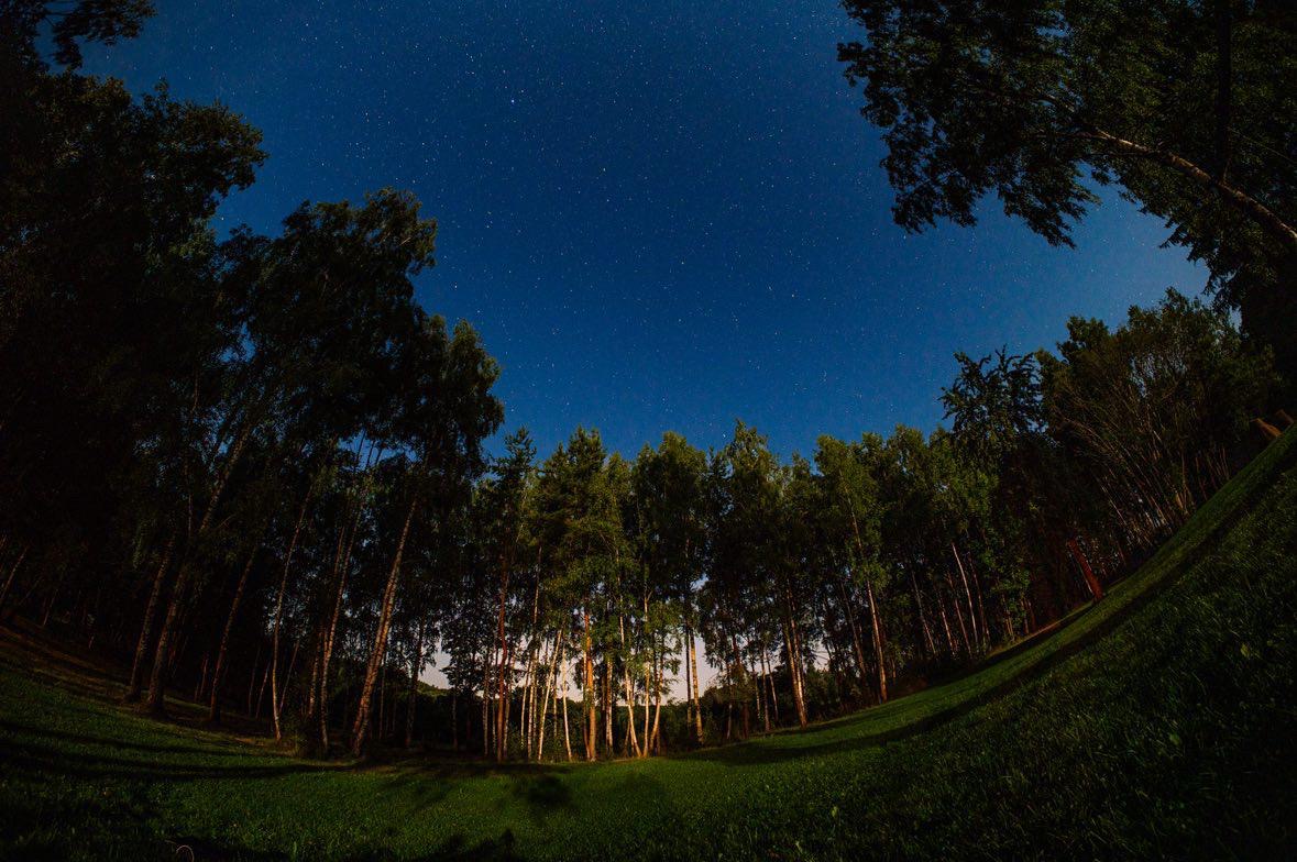 Hvozd Restaurant foto 5