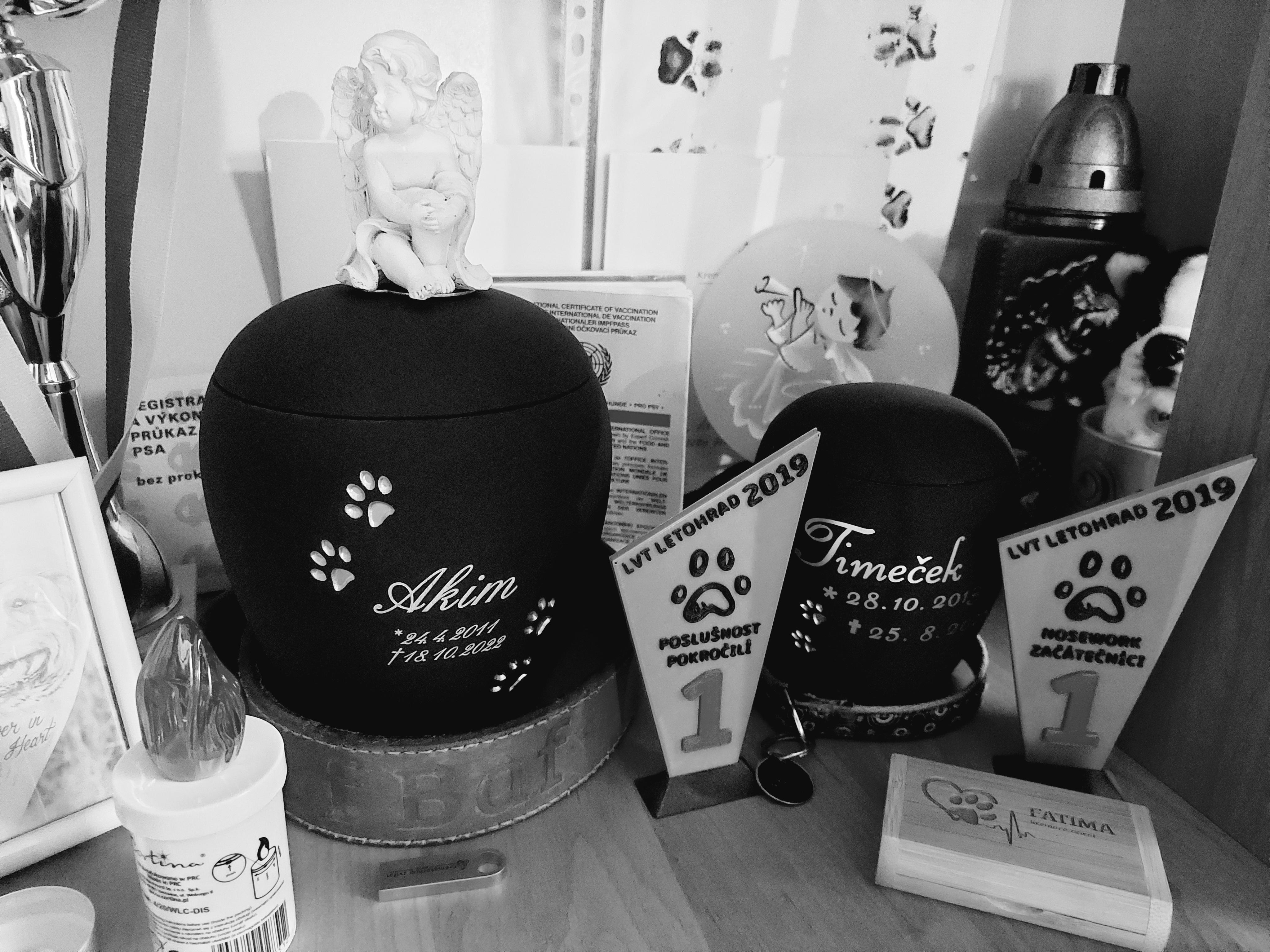 Kremace zvířat Fatima foto 6