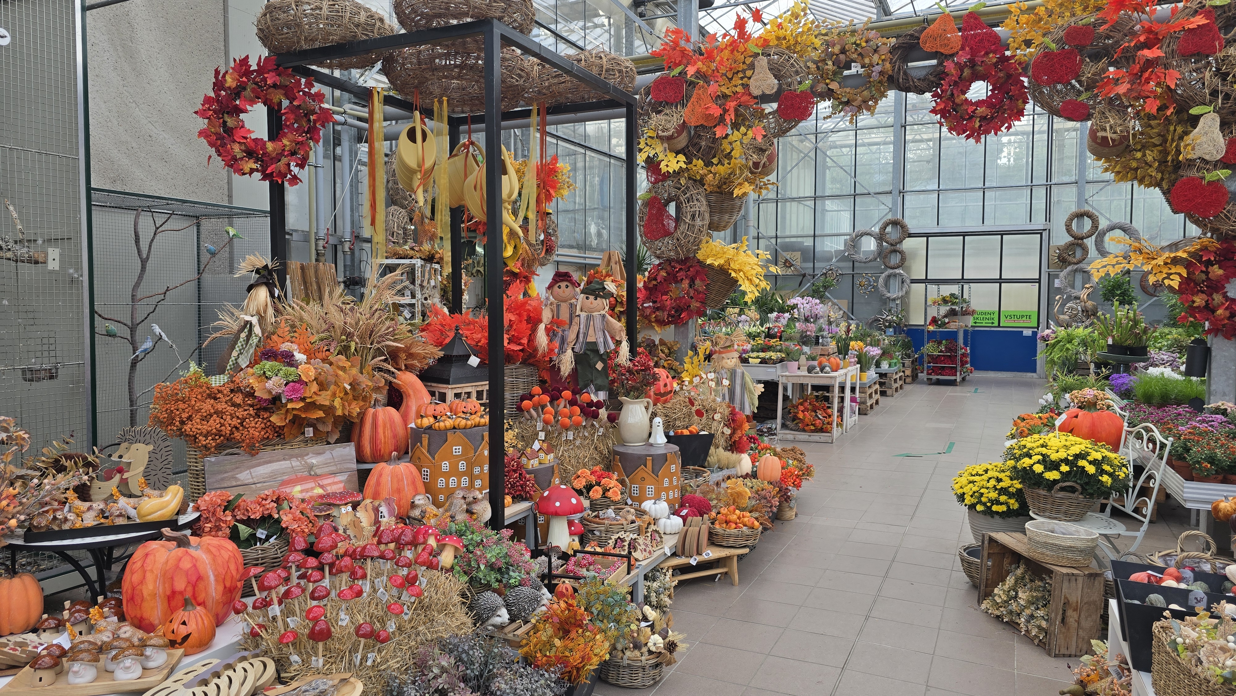 Zahradnictví Mikan foto 6