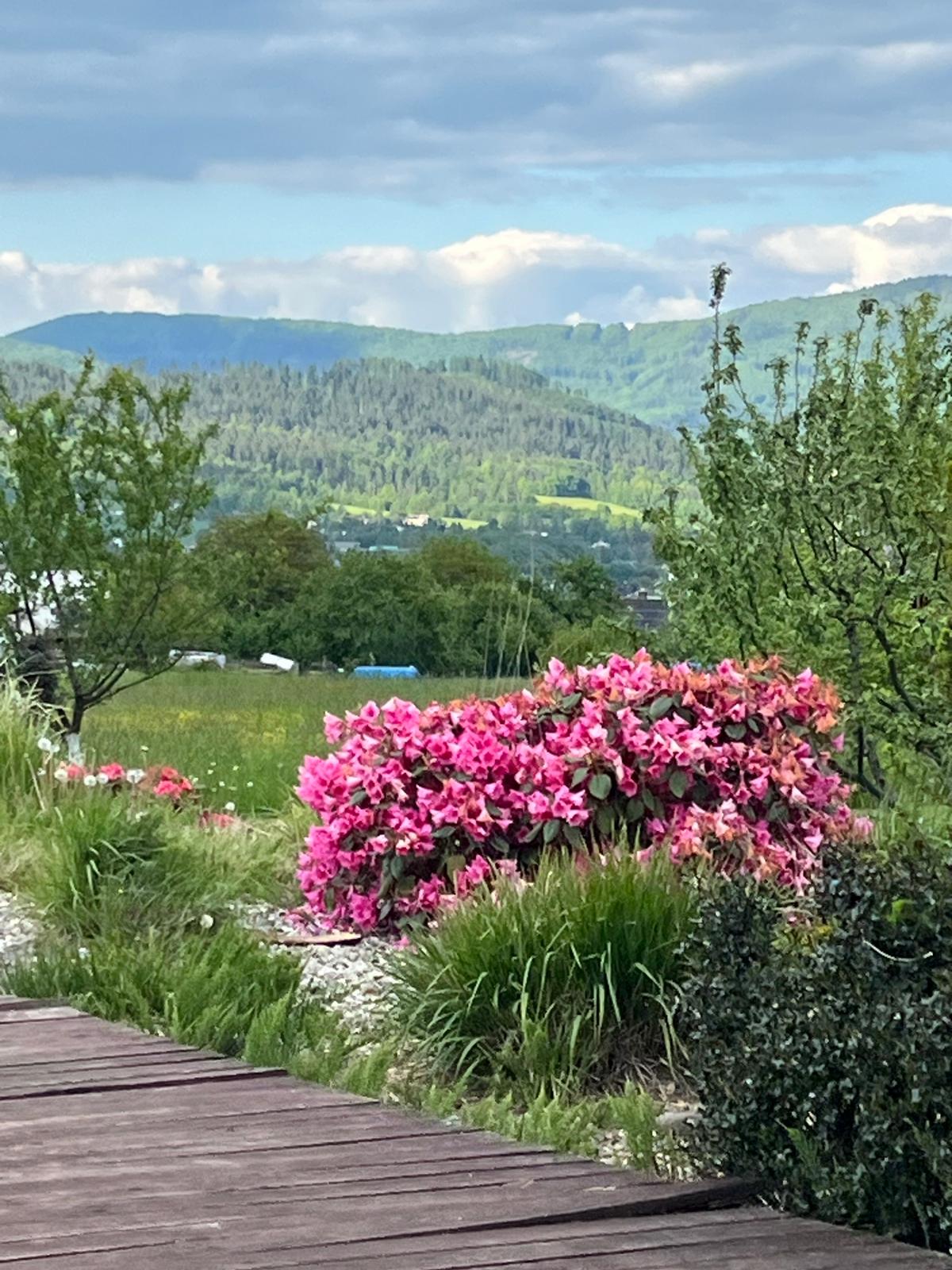 Pokoj U lesa Zaolší foto 3