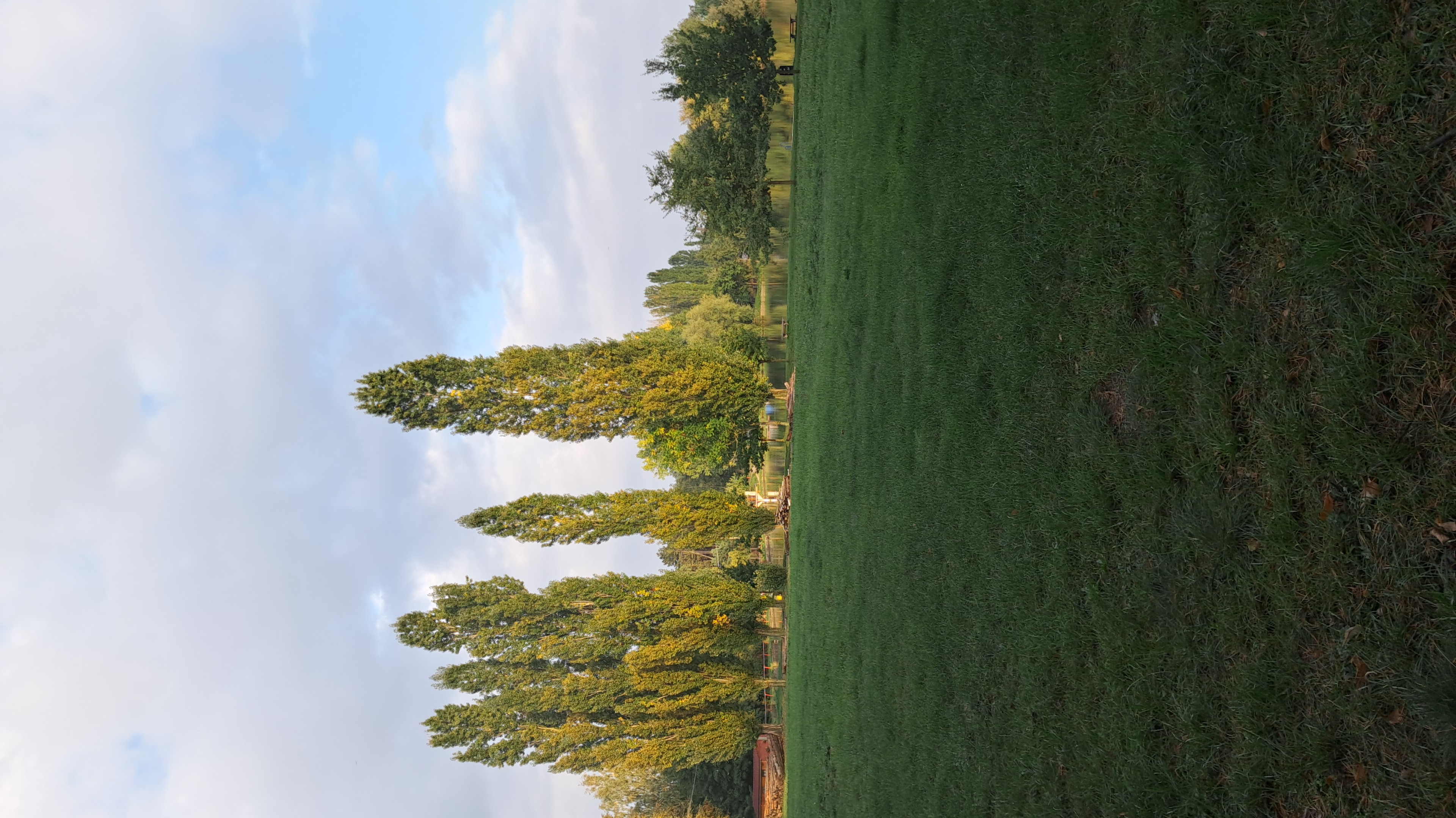 ATC Hradec Roman Hrnčíř foto 2