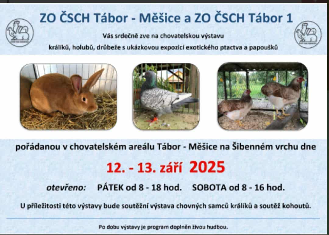 Český svaz chovatelů, z.s., Okresní organizace Tábor foto 2