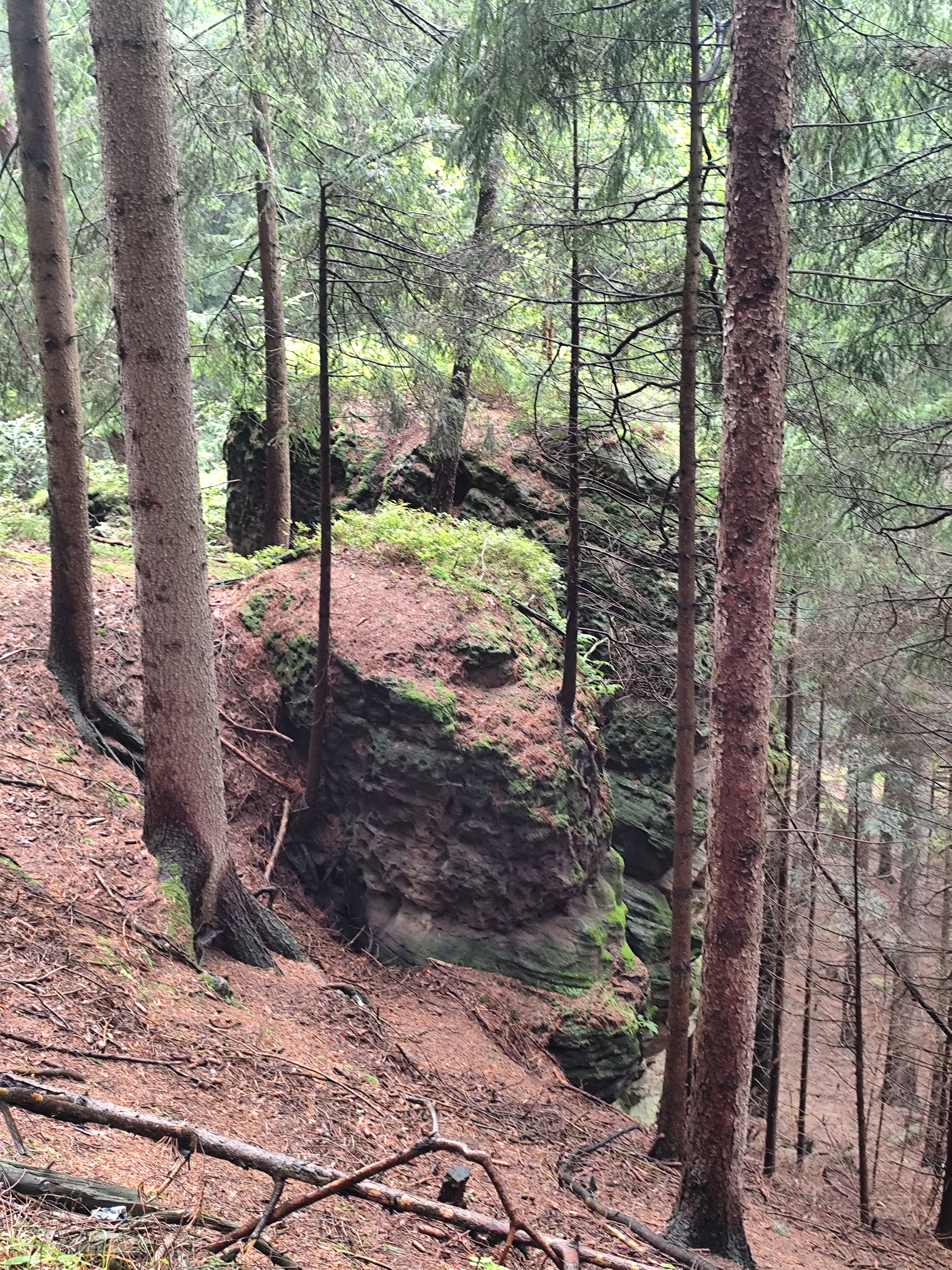 Zahrada Toulovcovy Maštale foto 6