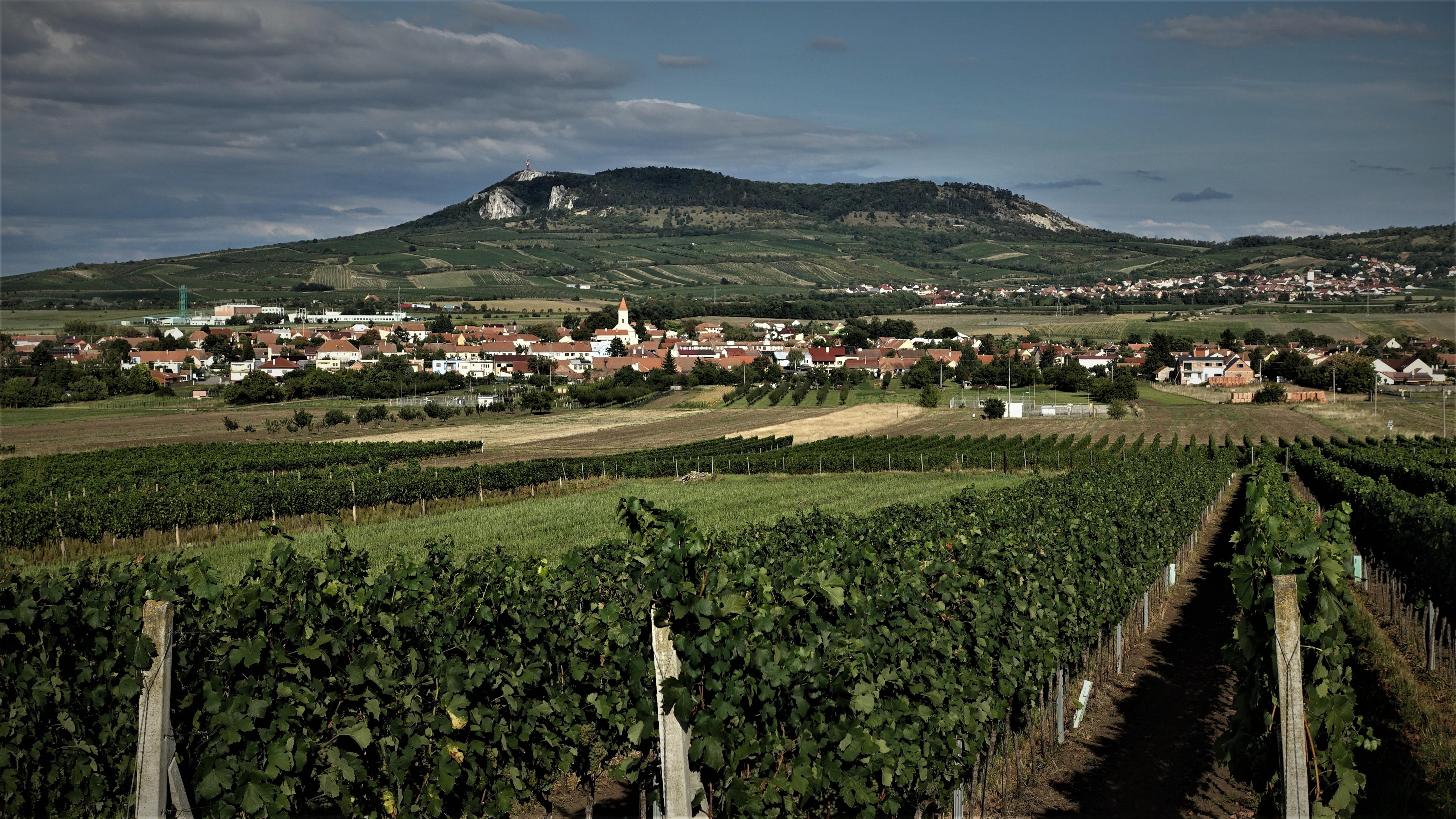 Penzion Lipový květ - Dolní Dunajovice foto 2