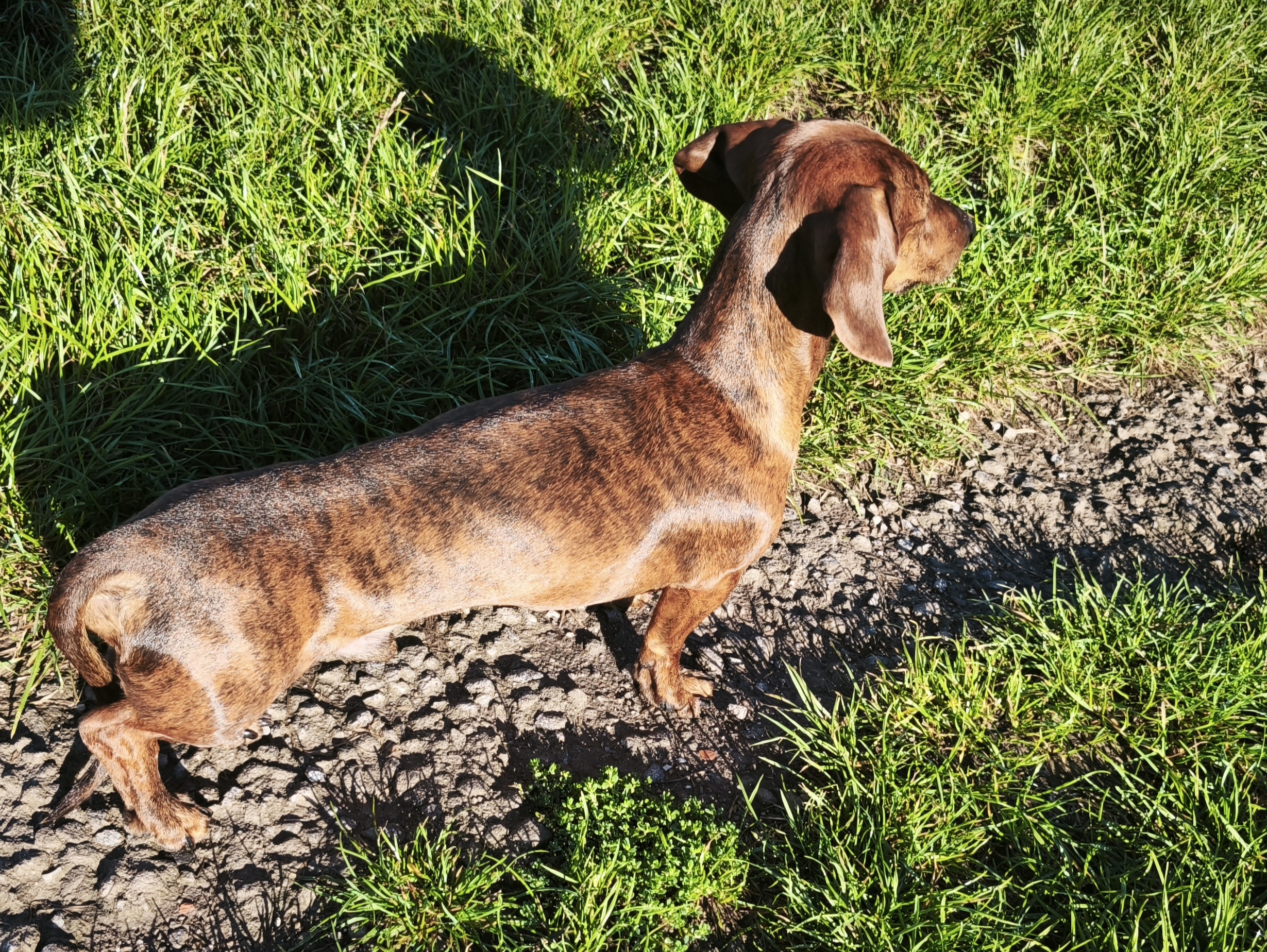 VetPark Clinics foto 3