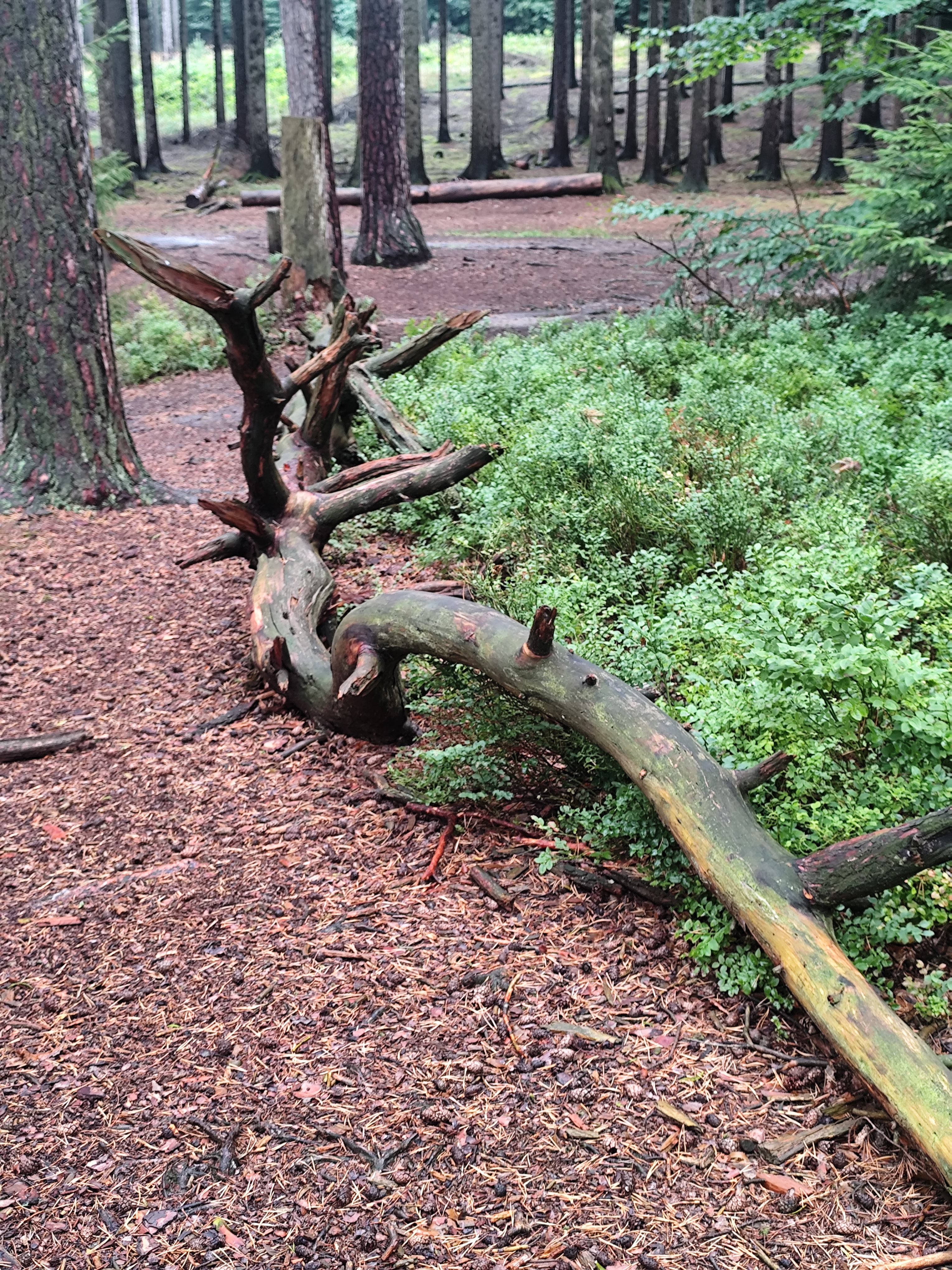 Zahrada Toulovcovy Maštale foto 5