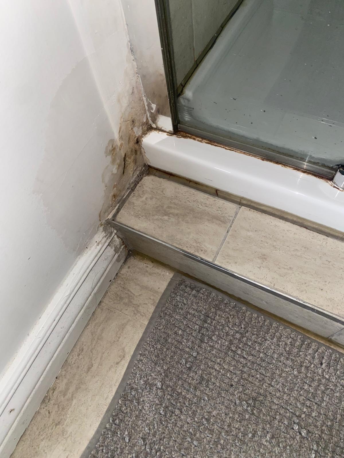 Booking.com (Czech Republic) s.r.o. foto 6