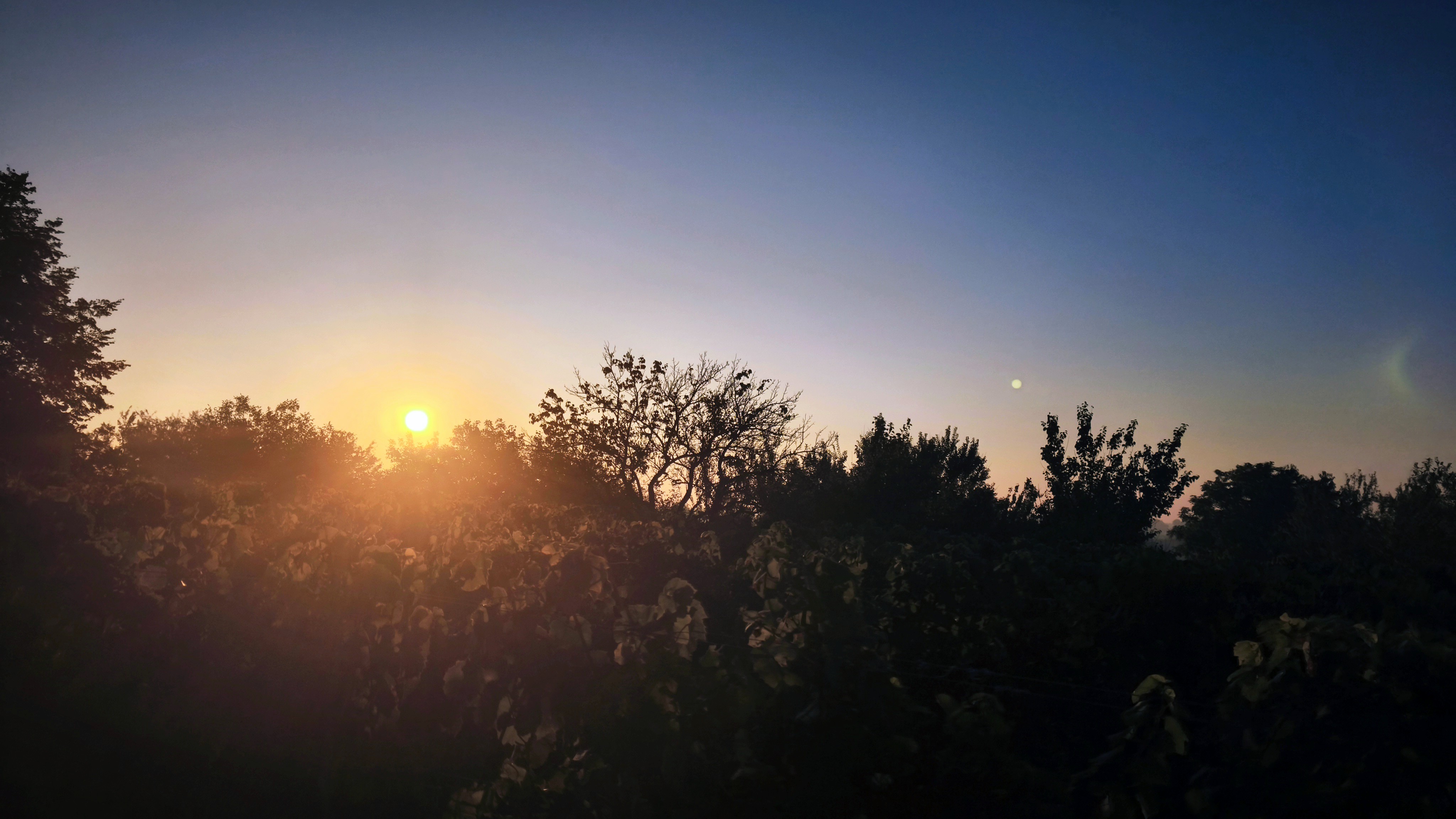 Karavan mezi vinohrady foto 4